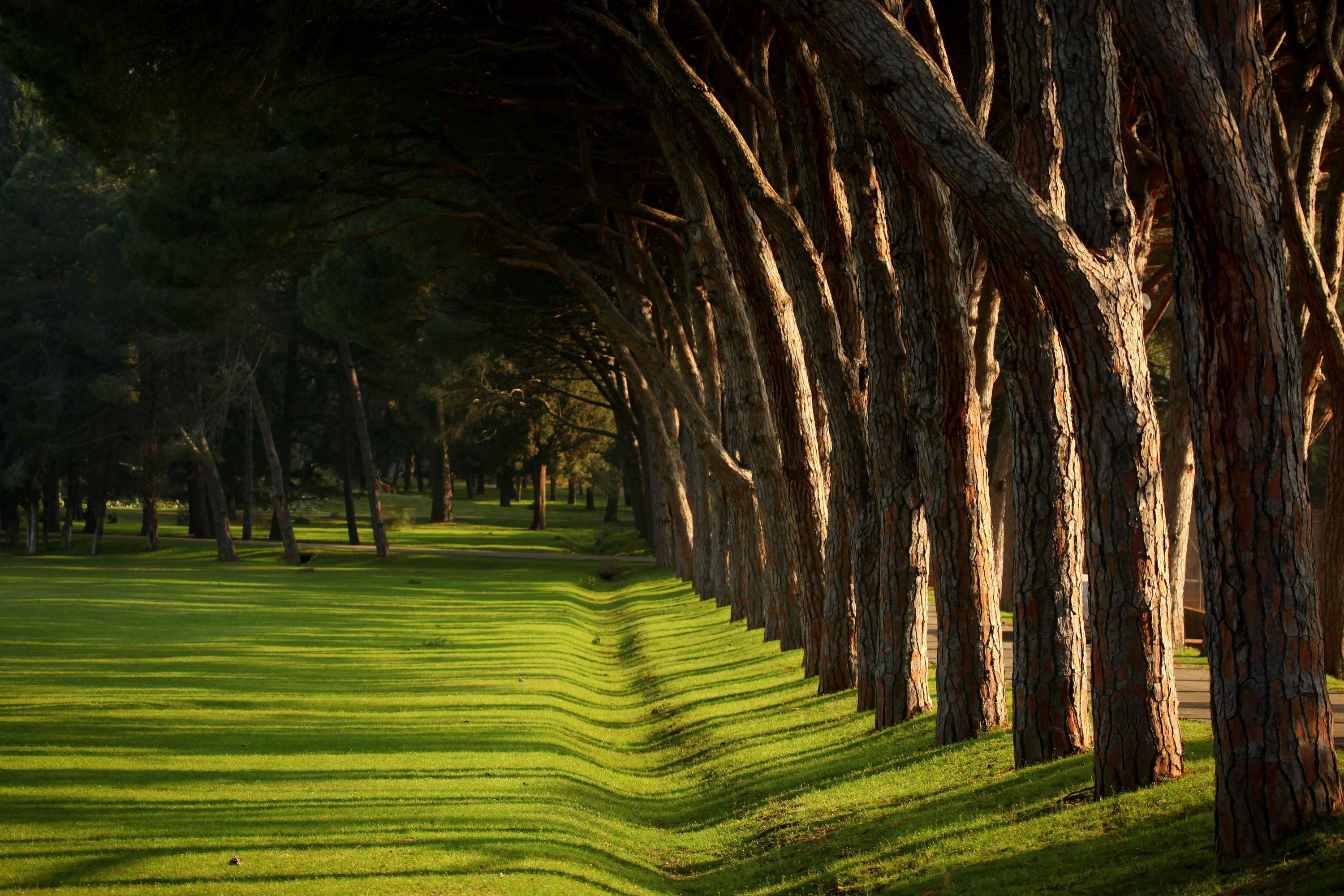 Gift card for Brijuni Hotel Neptun