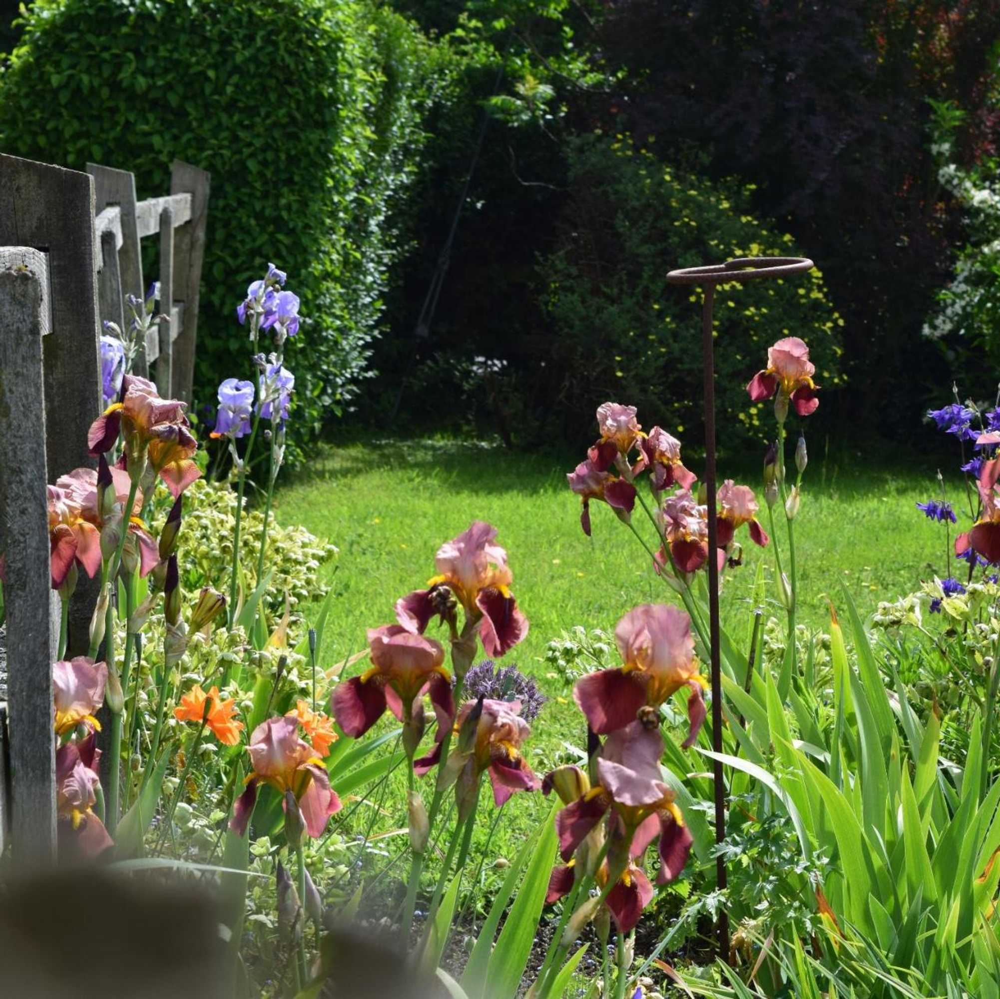 Gift card for Sandhurst Farm Forge