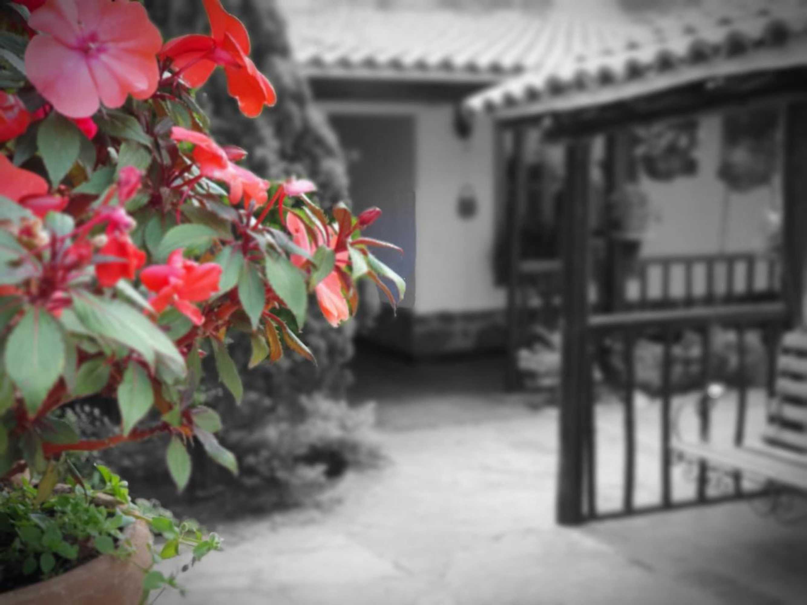 Gift card for Hotel Quinta de Santa Ana