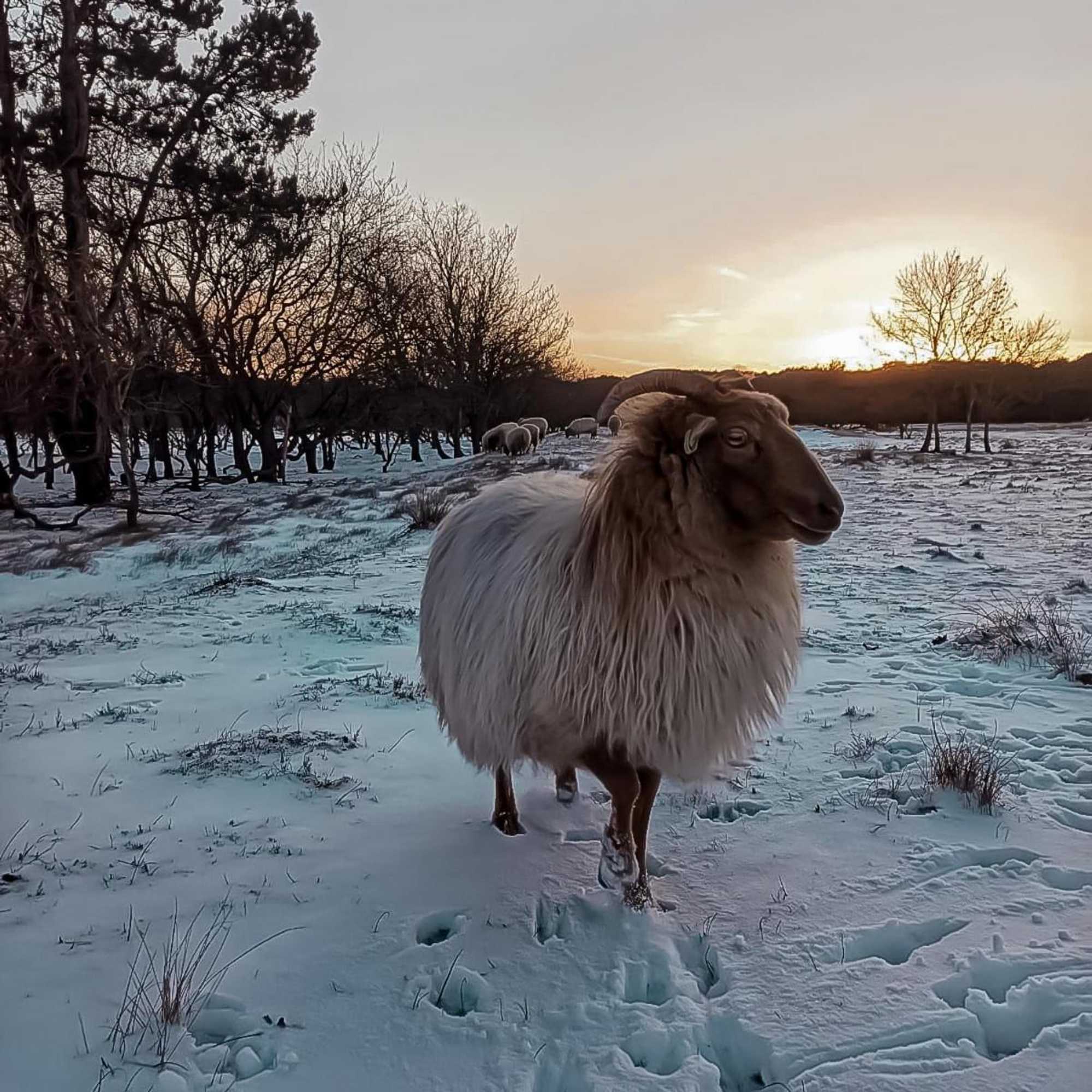 Gift card for Eureka Vakantiehuisjes