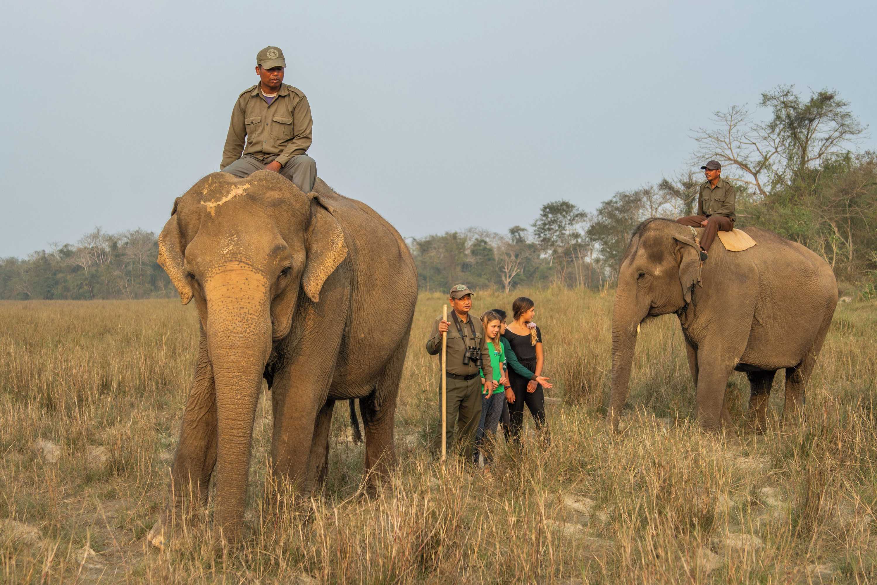 Gift card for Tiger Tops Tharu Lodge Gift card for Tiger Tops Tharu Lodge