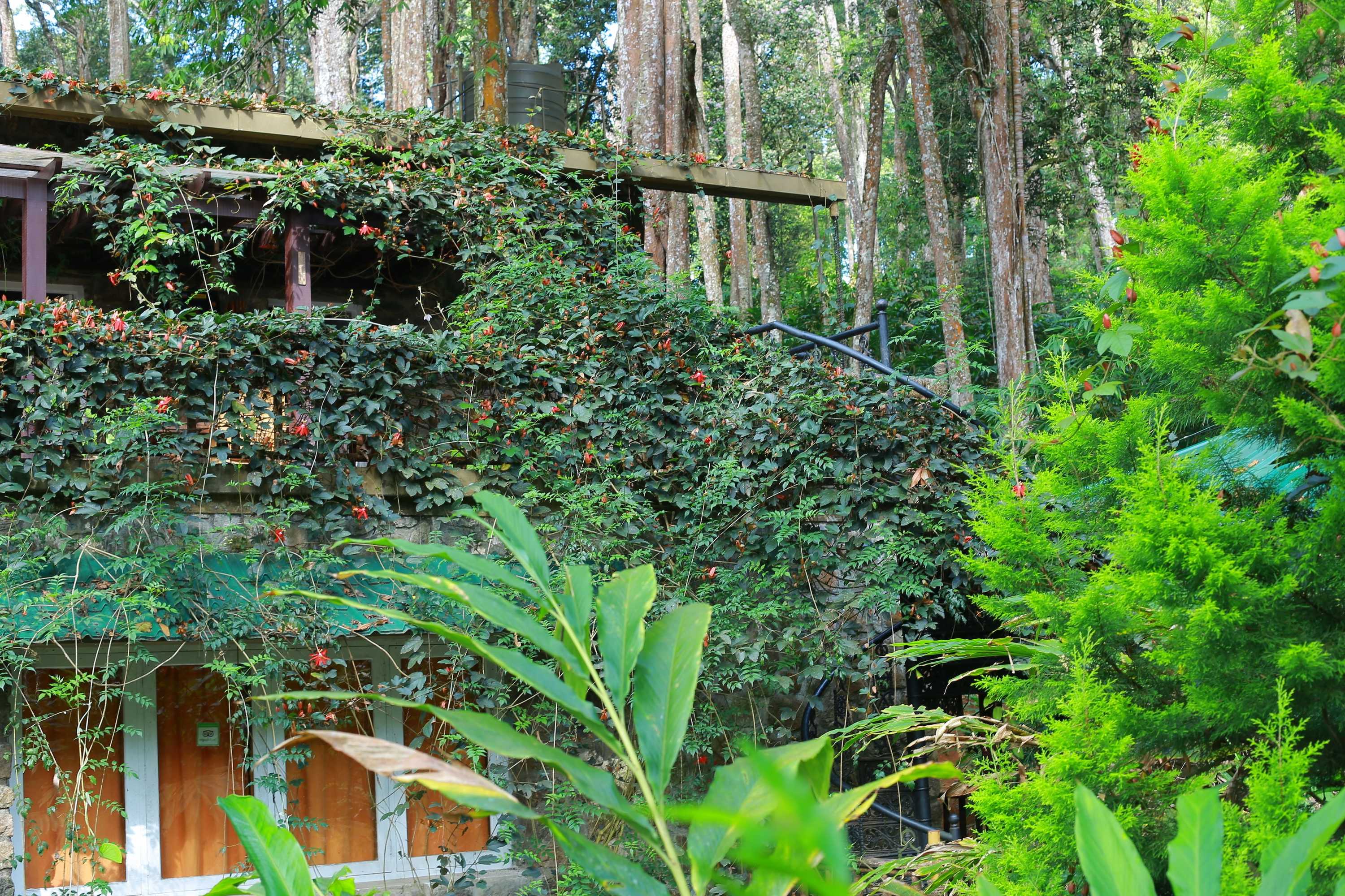 Gift card for Green Spaces Munnar Gift card for Green Spaces Munnar