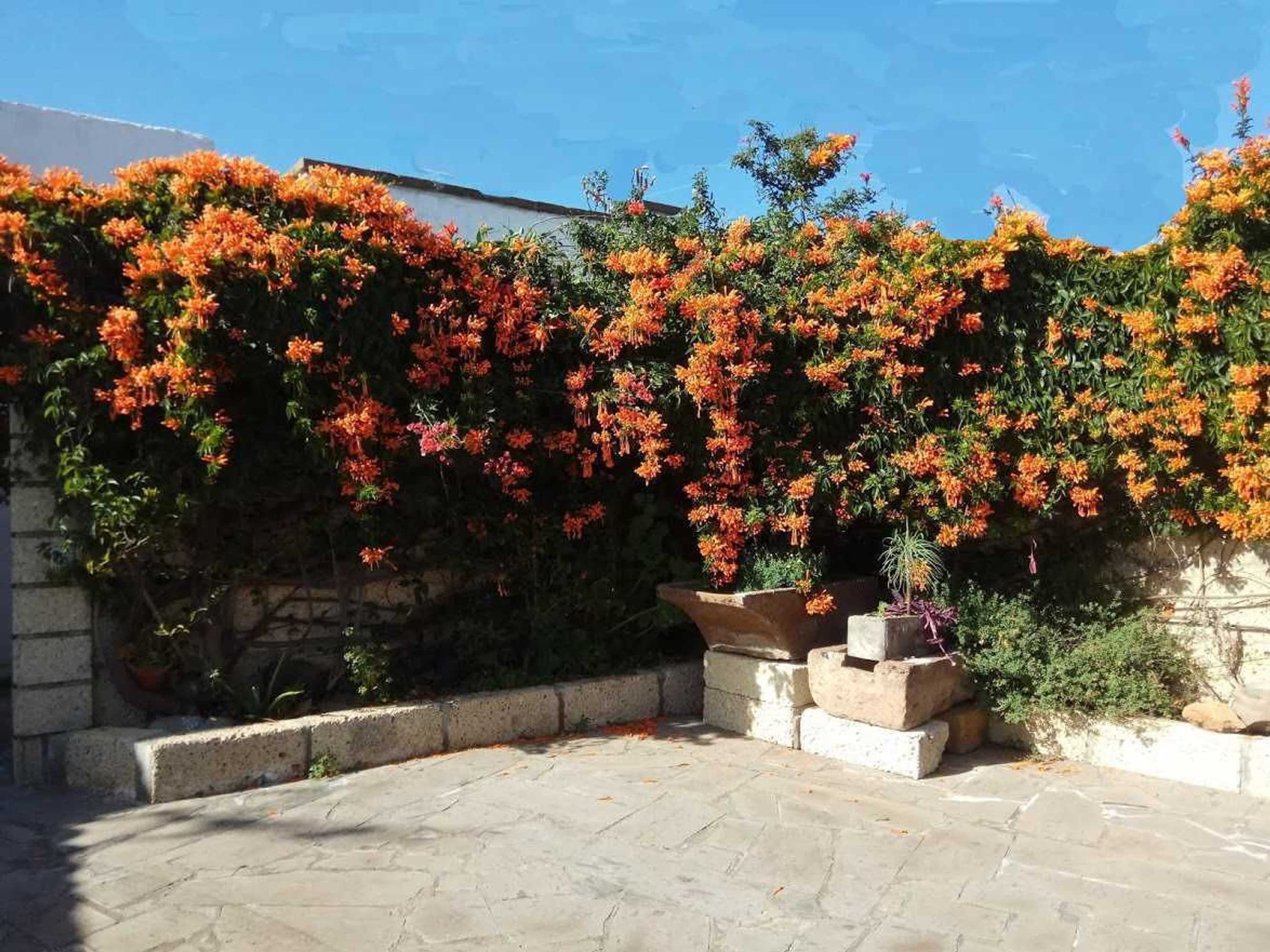 Gift card for Casas Rurales Los Gavilanes Gift card for Casas Rurales Los Gavilanes