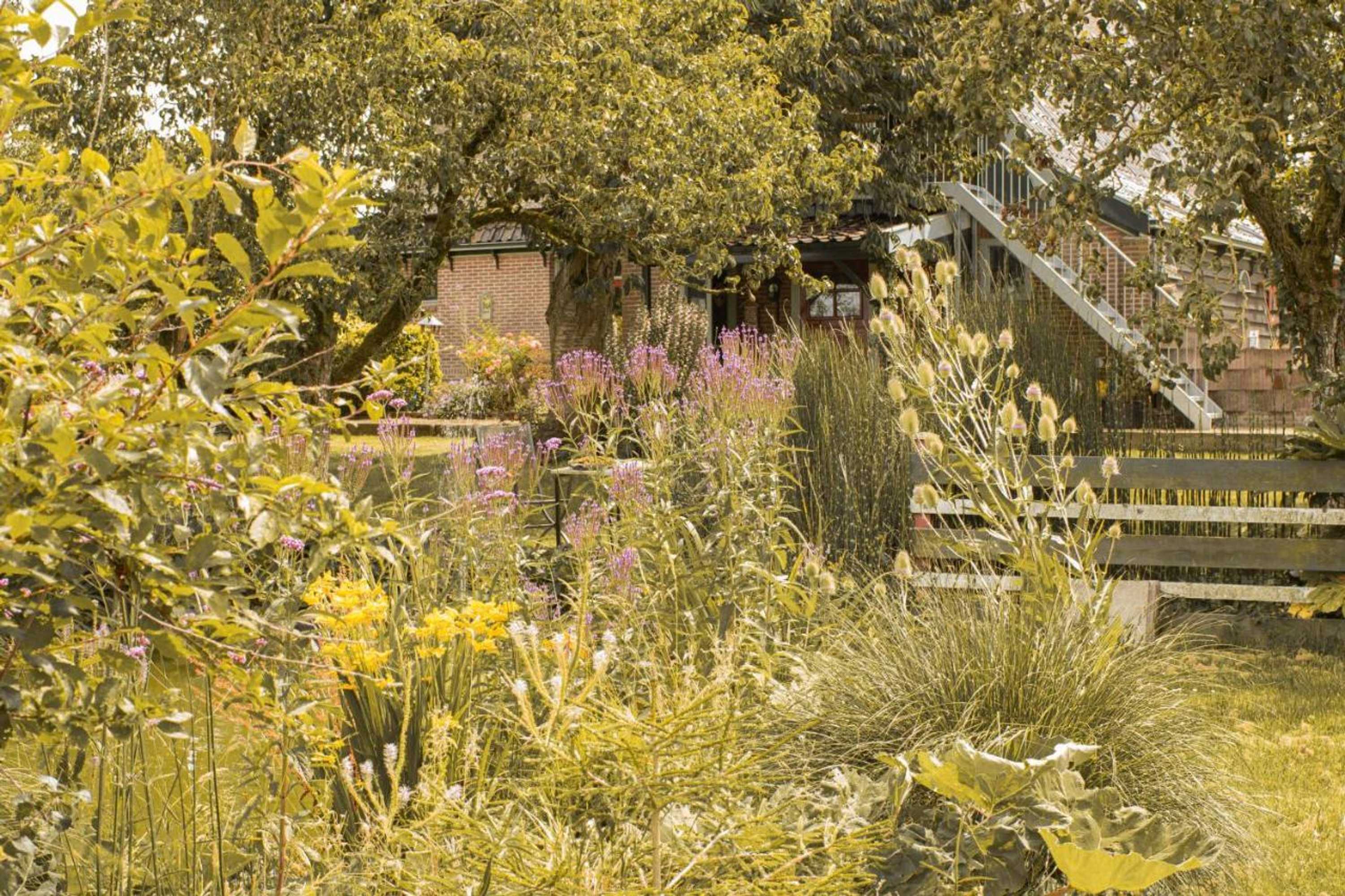 Gift card for B&b Ben in Broek