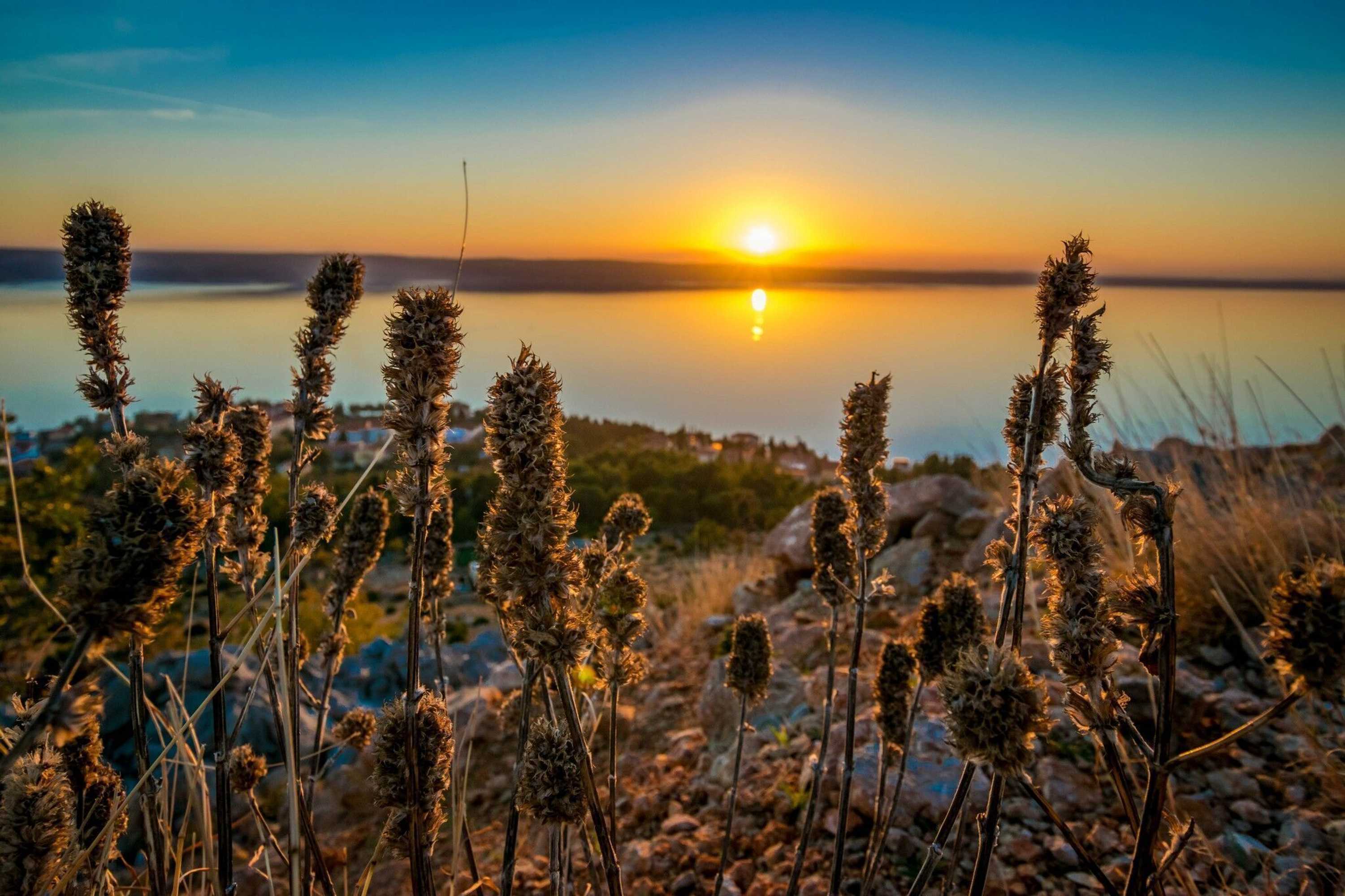 Gift card for Apartments Branka