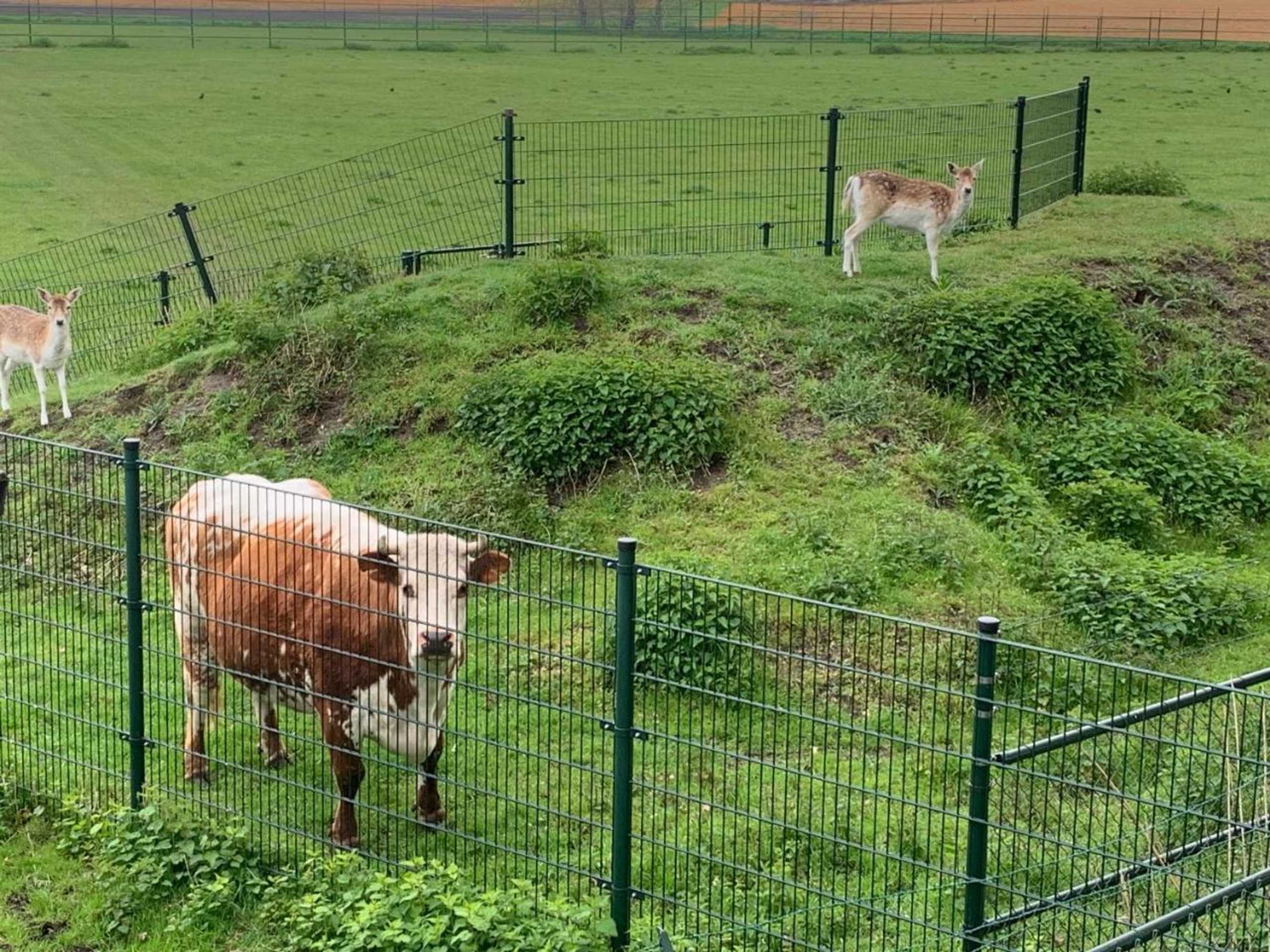 Gift card for Onder Het Dak Van Brabant