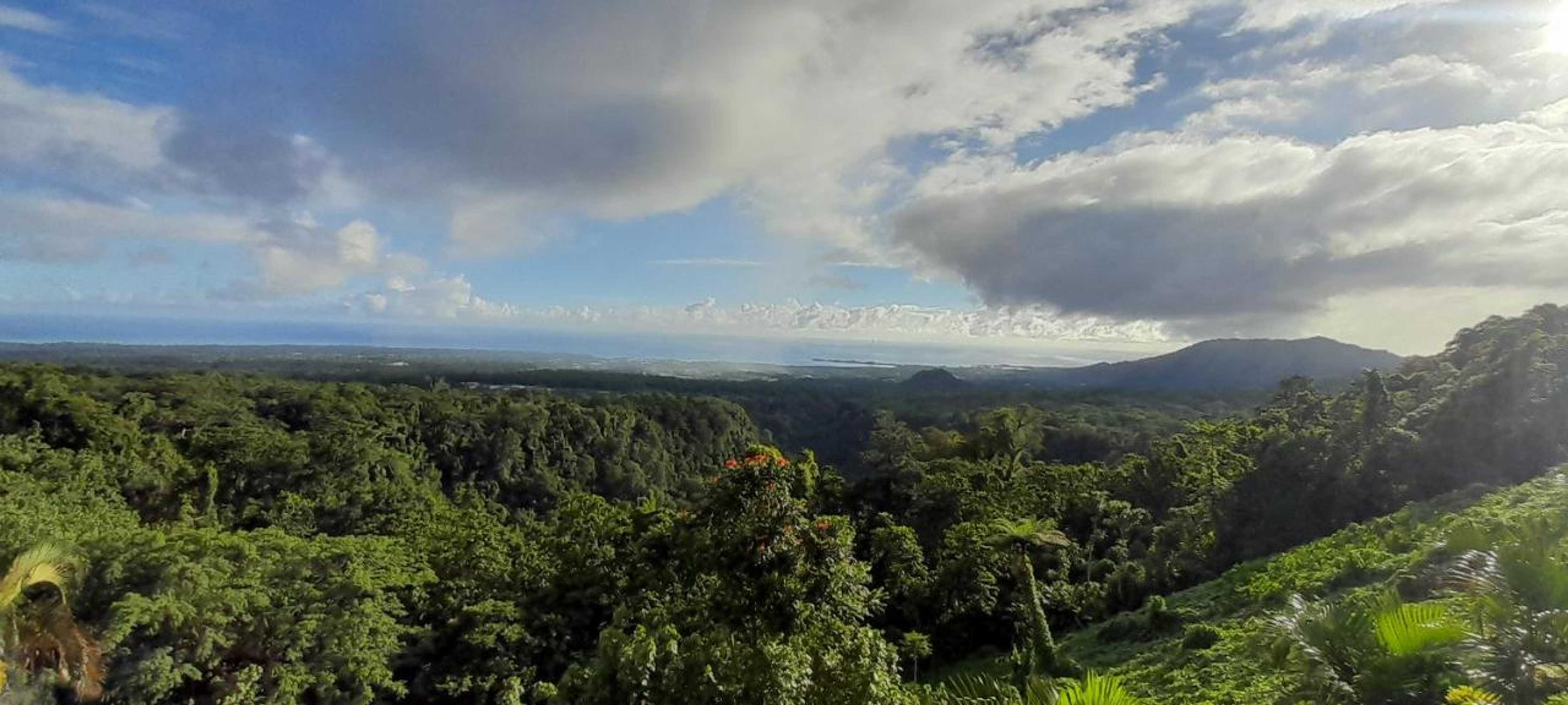 Gift card for Dave Parker Eco Lodge Hotel