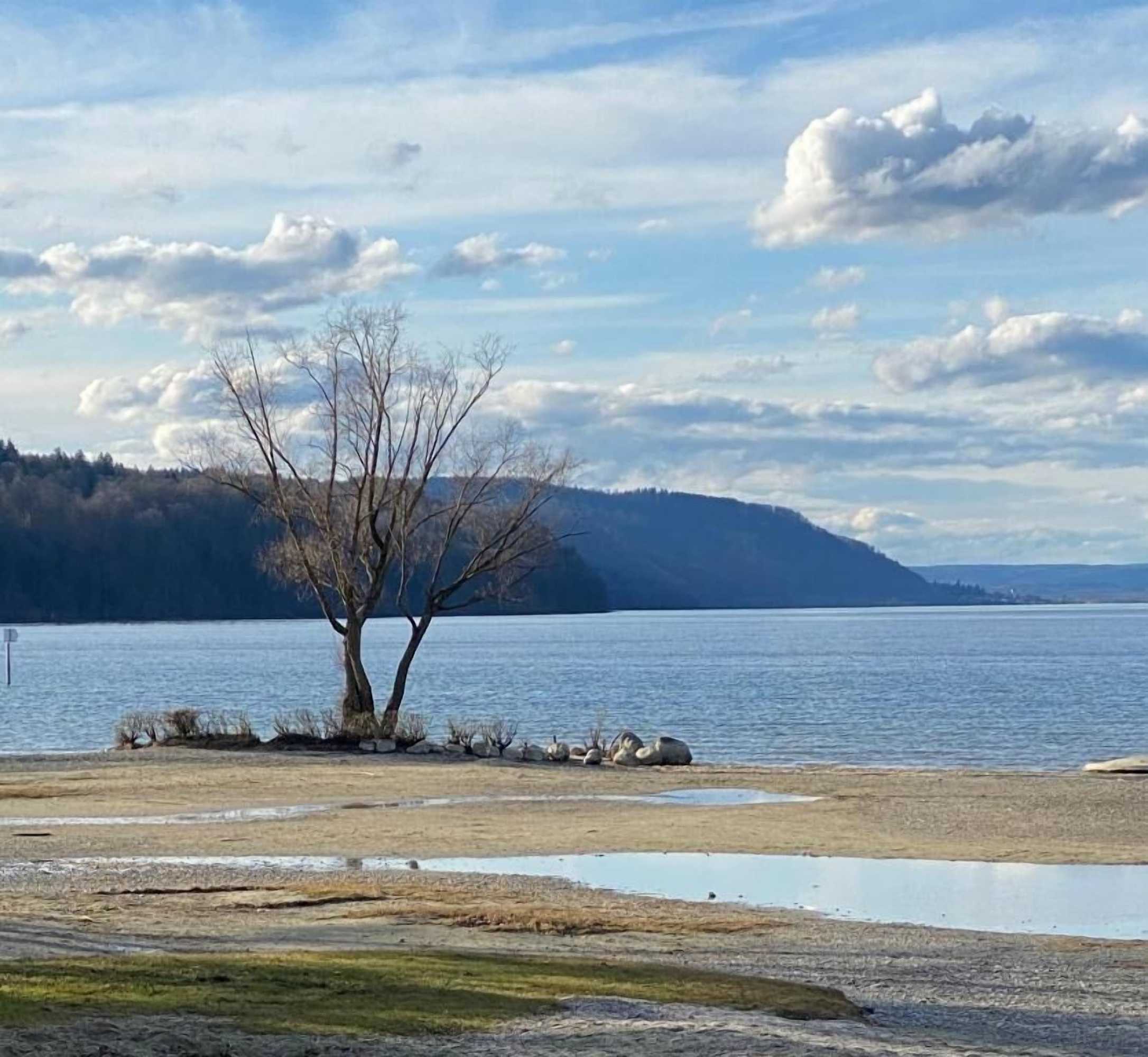 Gift card for Haus Seehang Hotel Garni