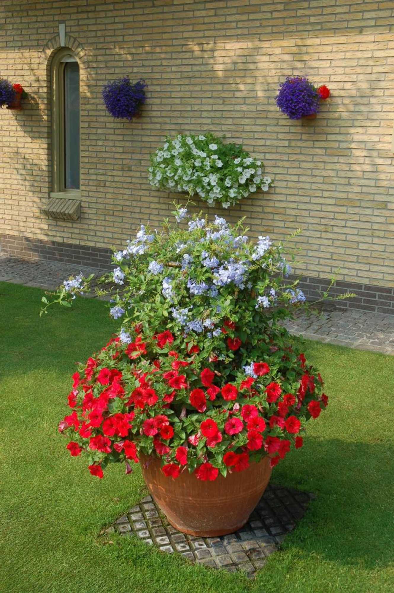 Gift card for B&b Bloemenweelde