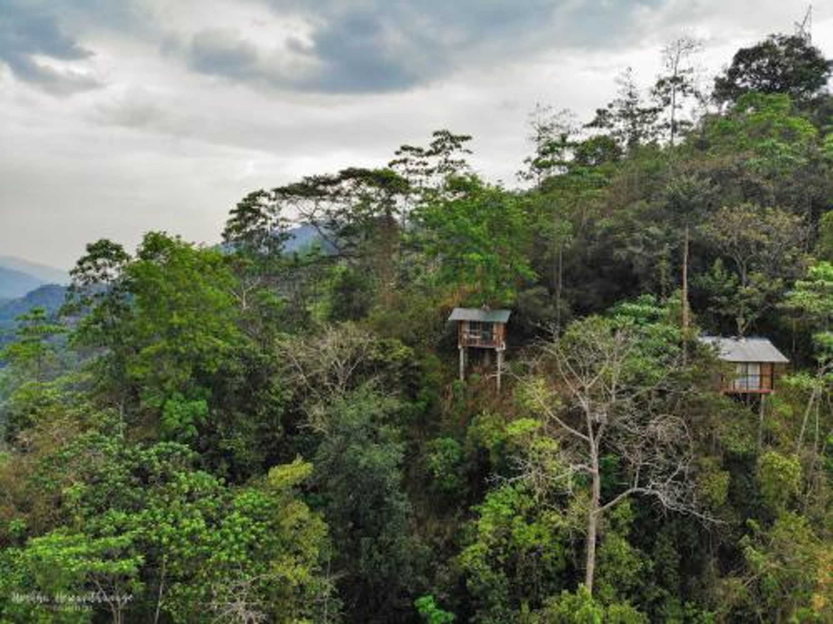 Gift card for Tree Houses by Jungle River Gift card for Tree Houses by Jungle River