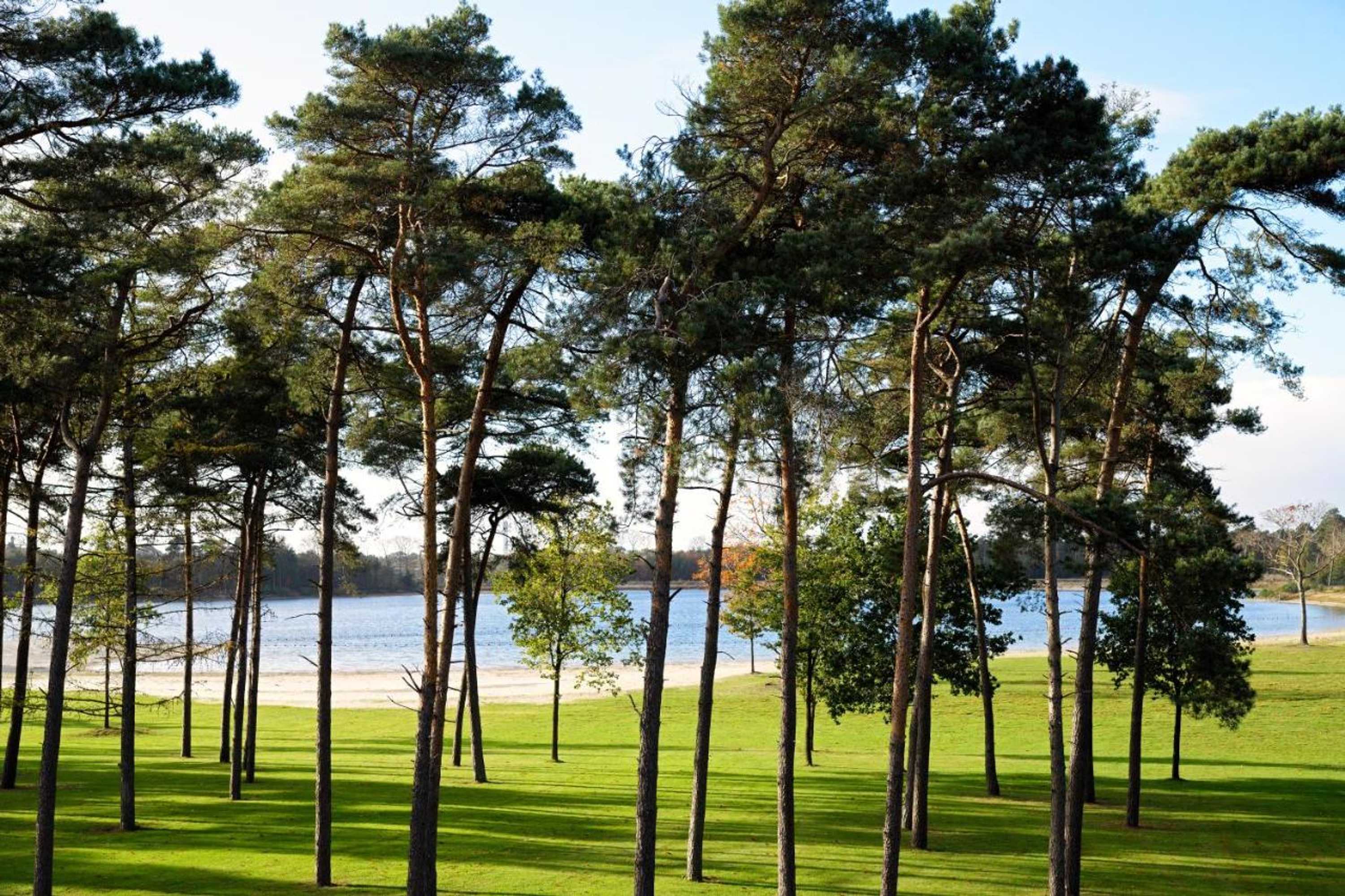 Gift card for Hotel Nederheide