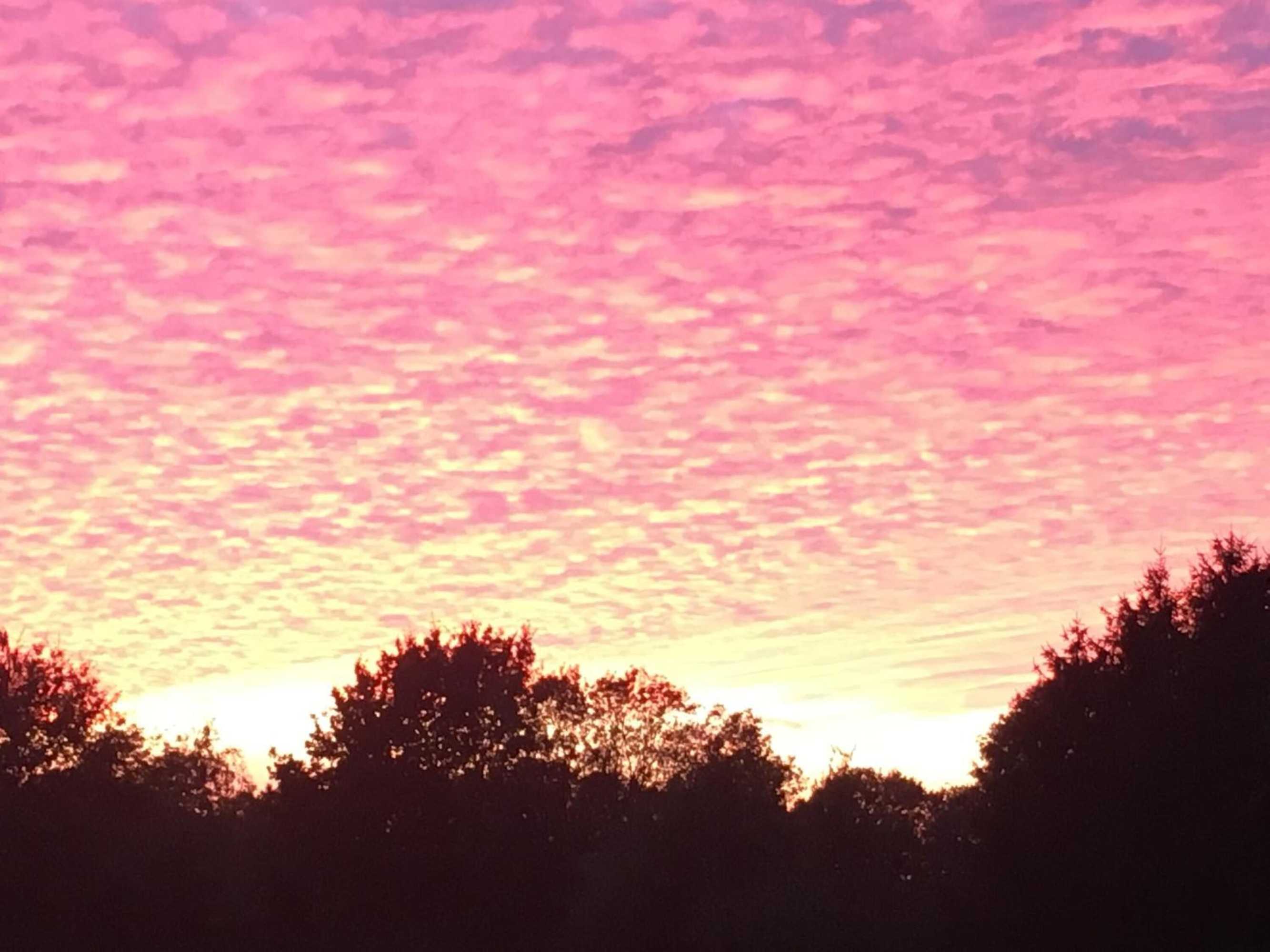 Gift card for Erve Het Roolvink