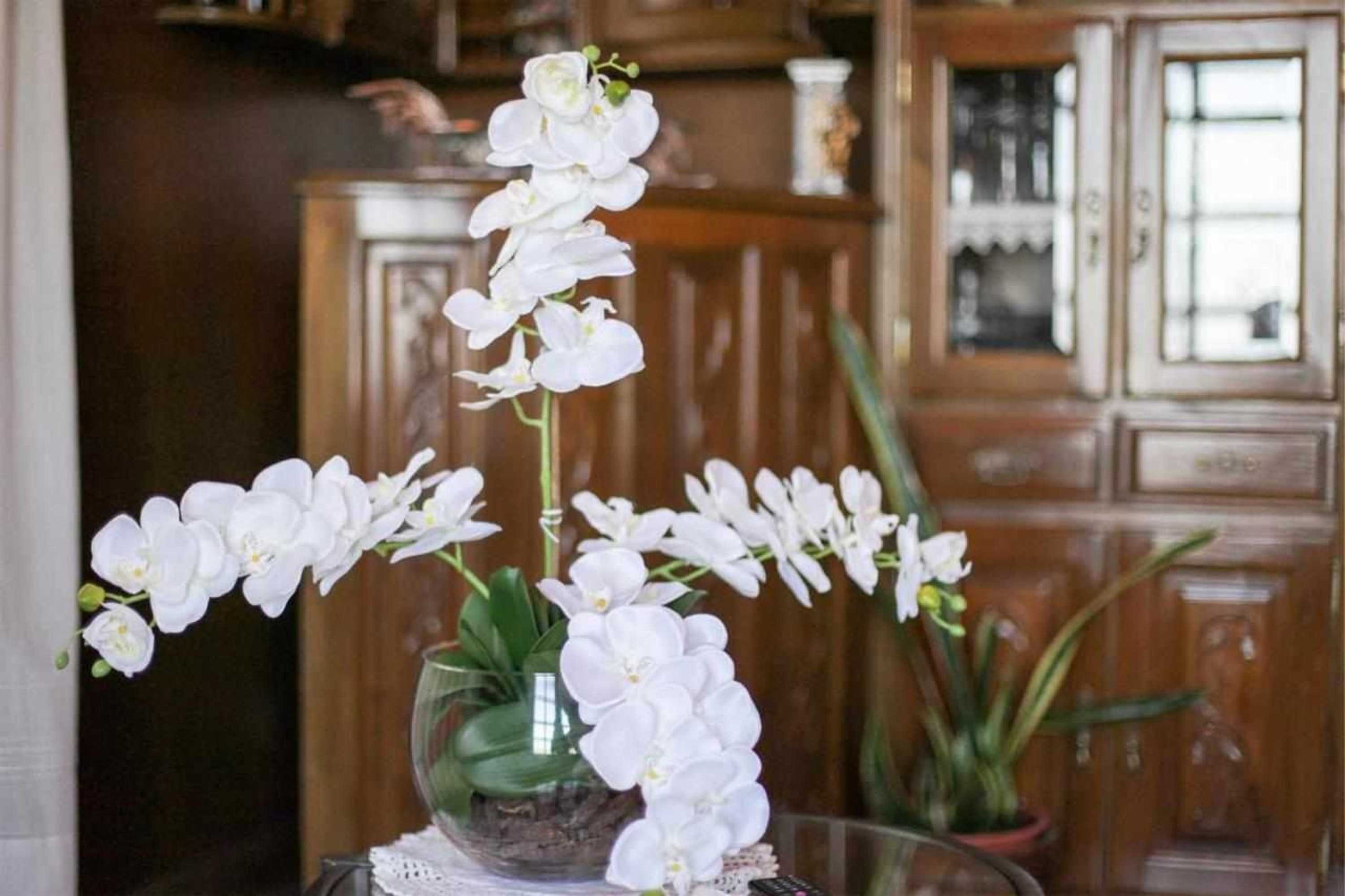 Gift card for Casa Rural do Salgueirinho