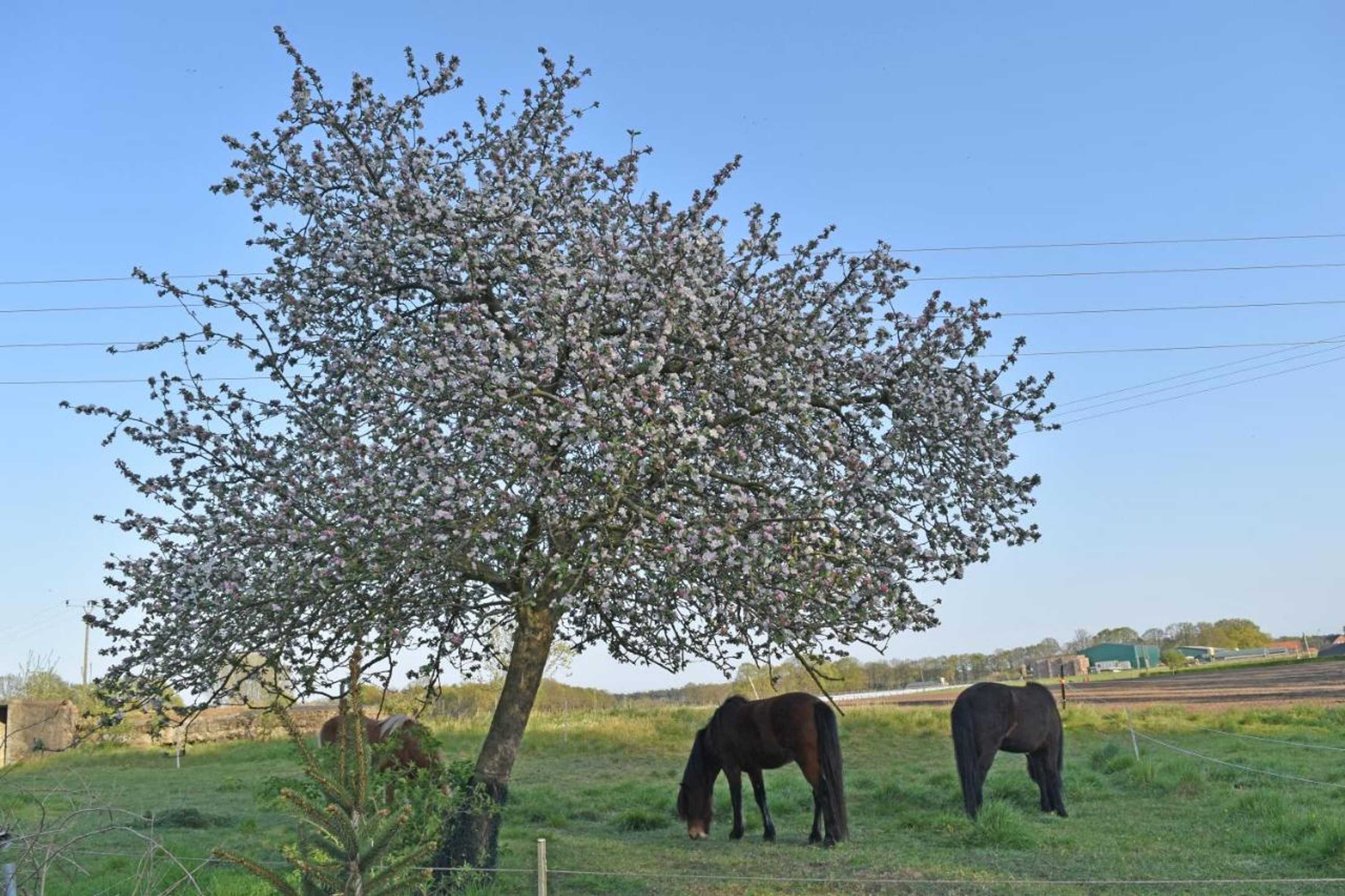 Gift card for Kreativhof Lehmberg