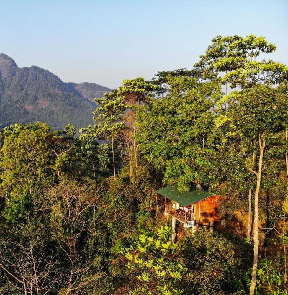 Gift card for Tree Houses by Jungle River