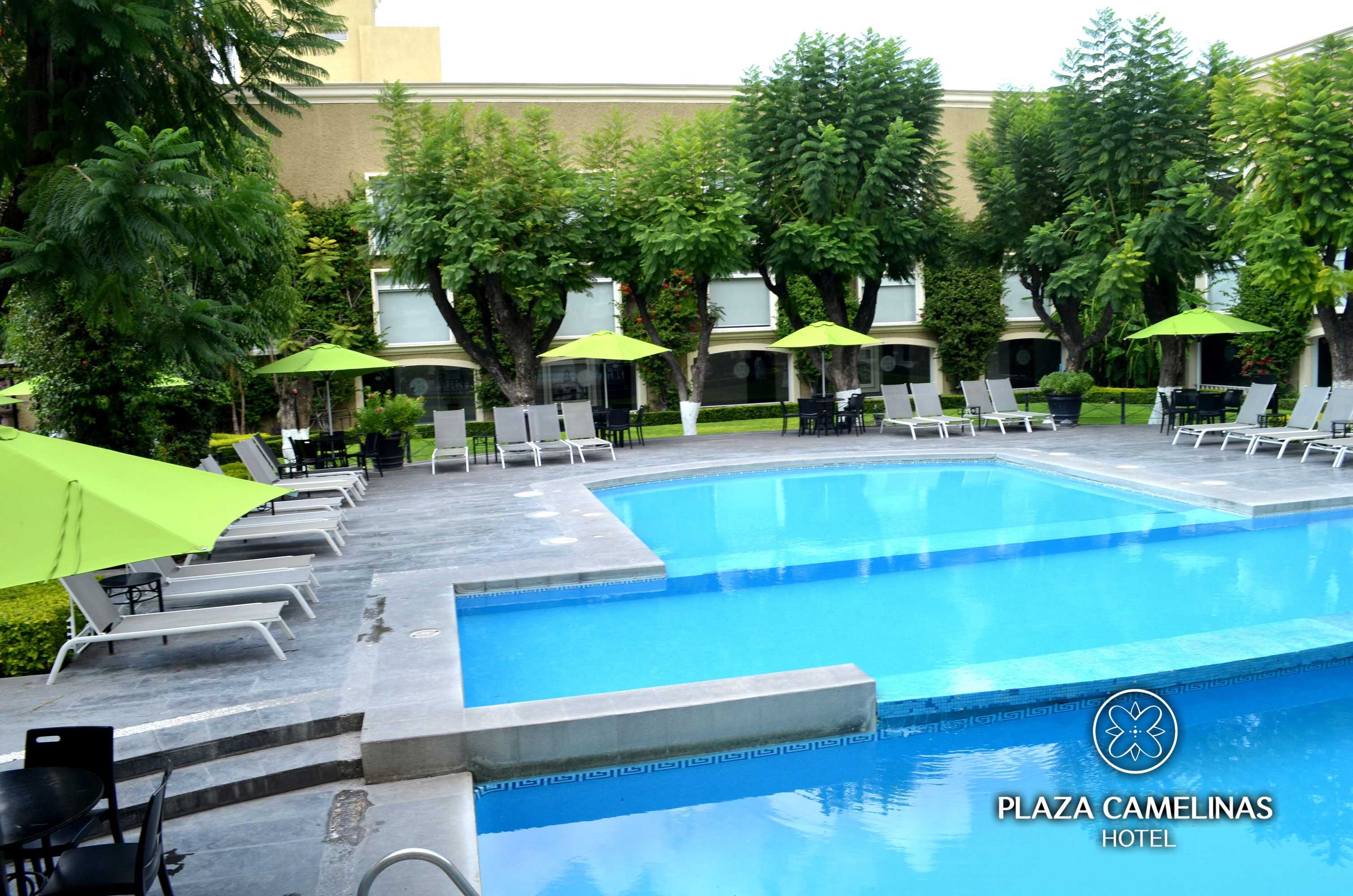Gift card for Plaza Camelinas Hotel Gift card for Plaza Camelinas Hotel