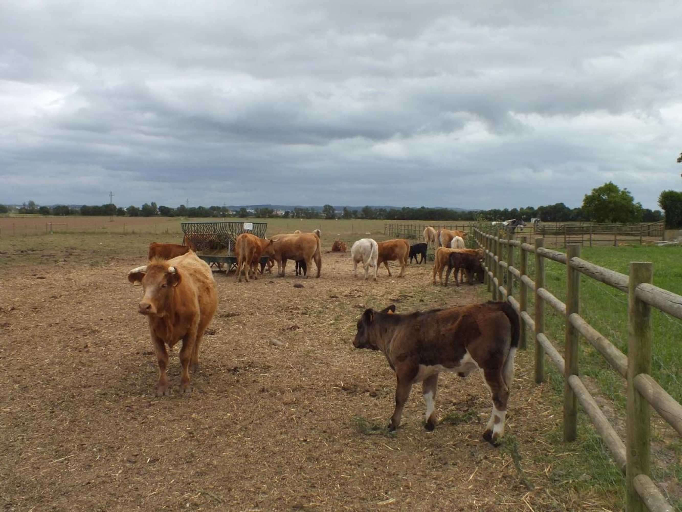 Gift card for Quinta da Gafaria