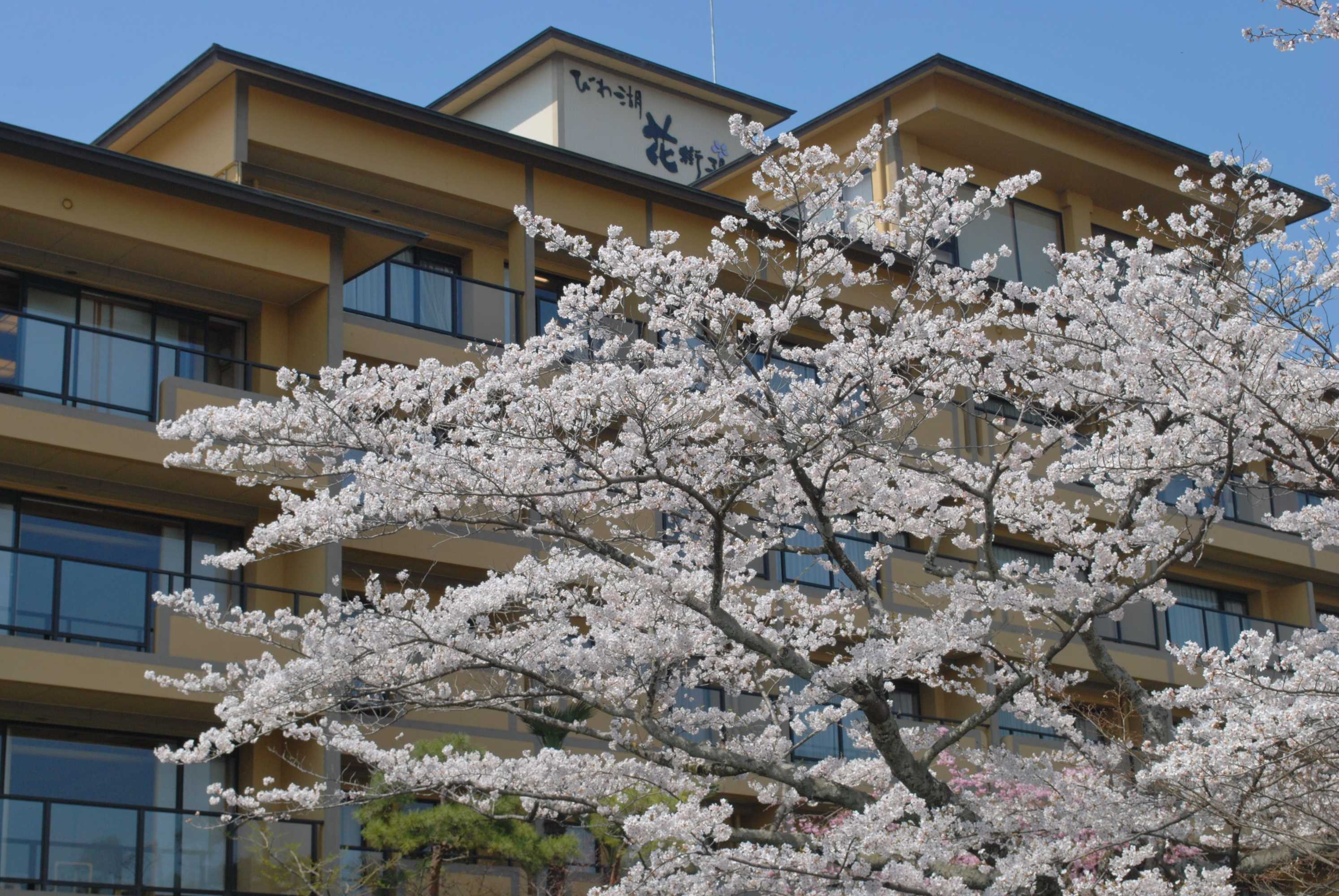 Gift card for Biwako Hanakaido Gift card for Biwako Hanakaido