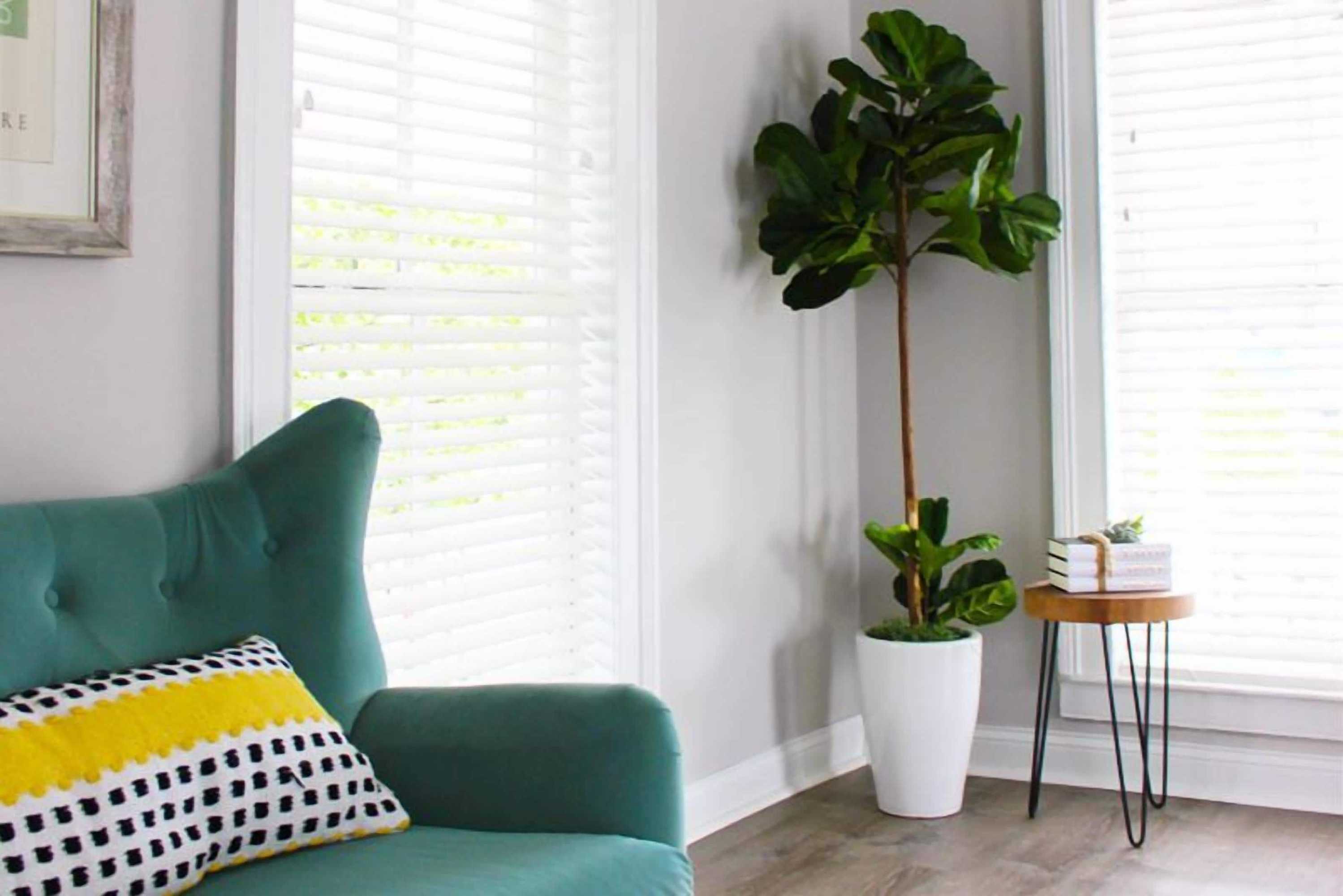 Gift card for The National Hotel