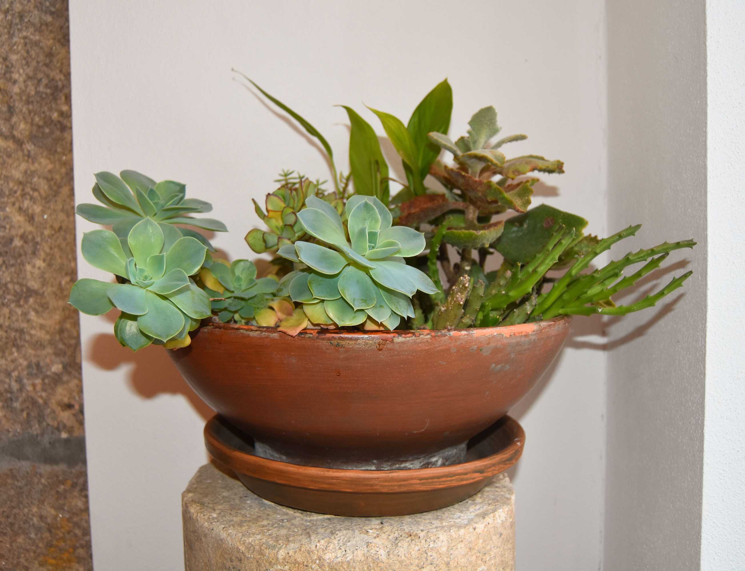 Gift card for Casa de Lamas