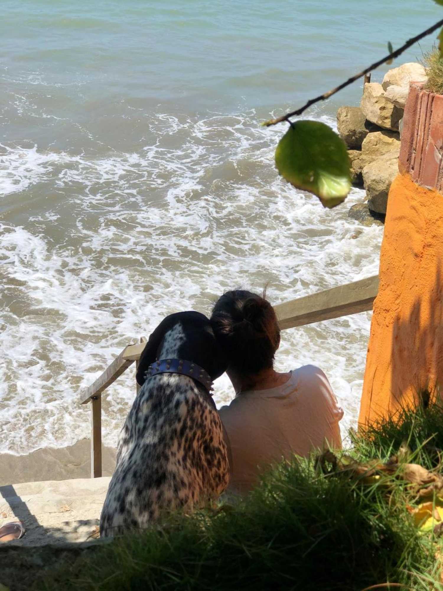 Gift card for Hostería Ecológica El Faro Gift card for Hostería Ecológica El Faro