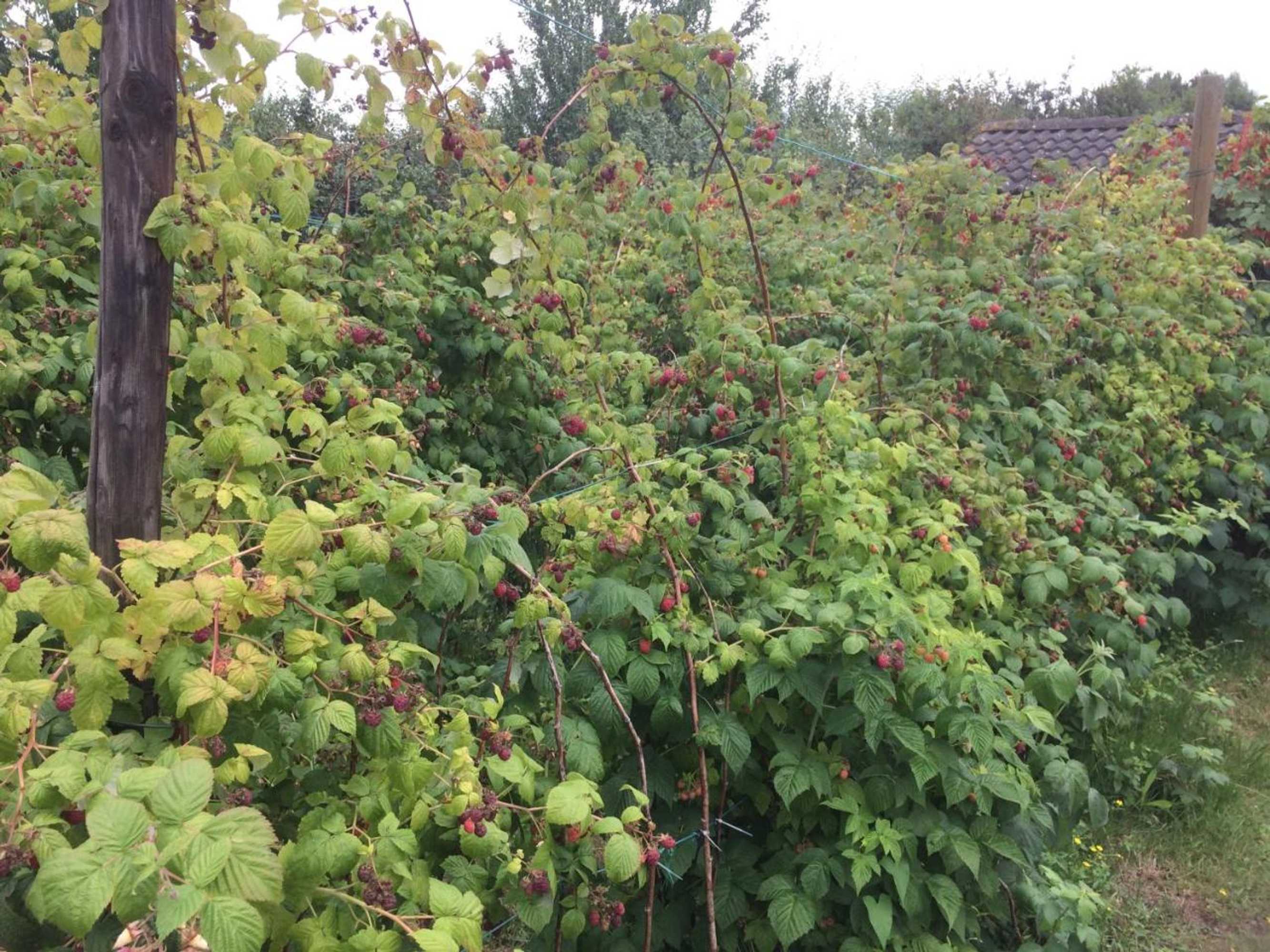 Gift card for B&b Ool Inclusive