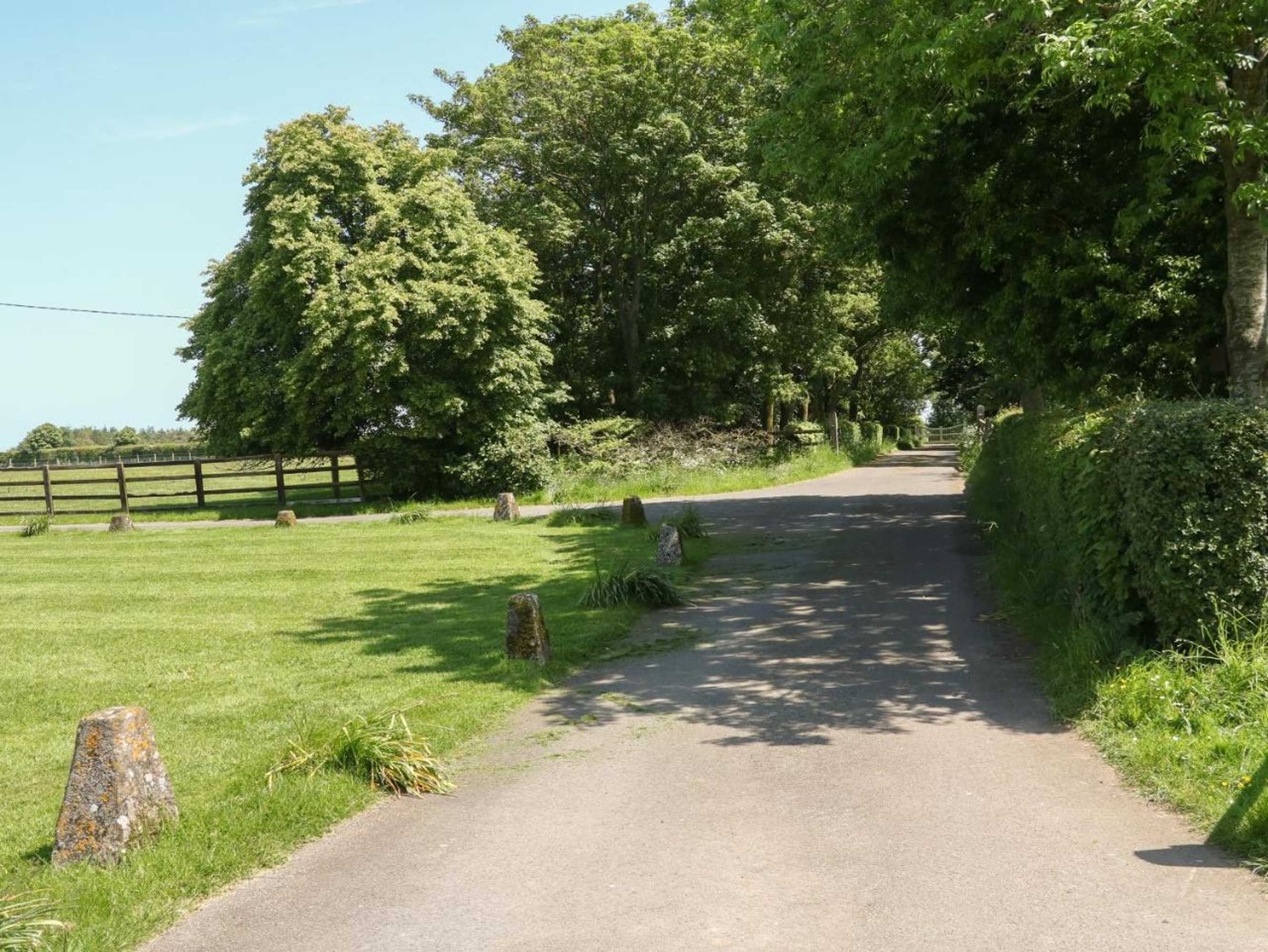 Gift card for Saddlebacks Barn