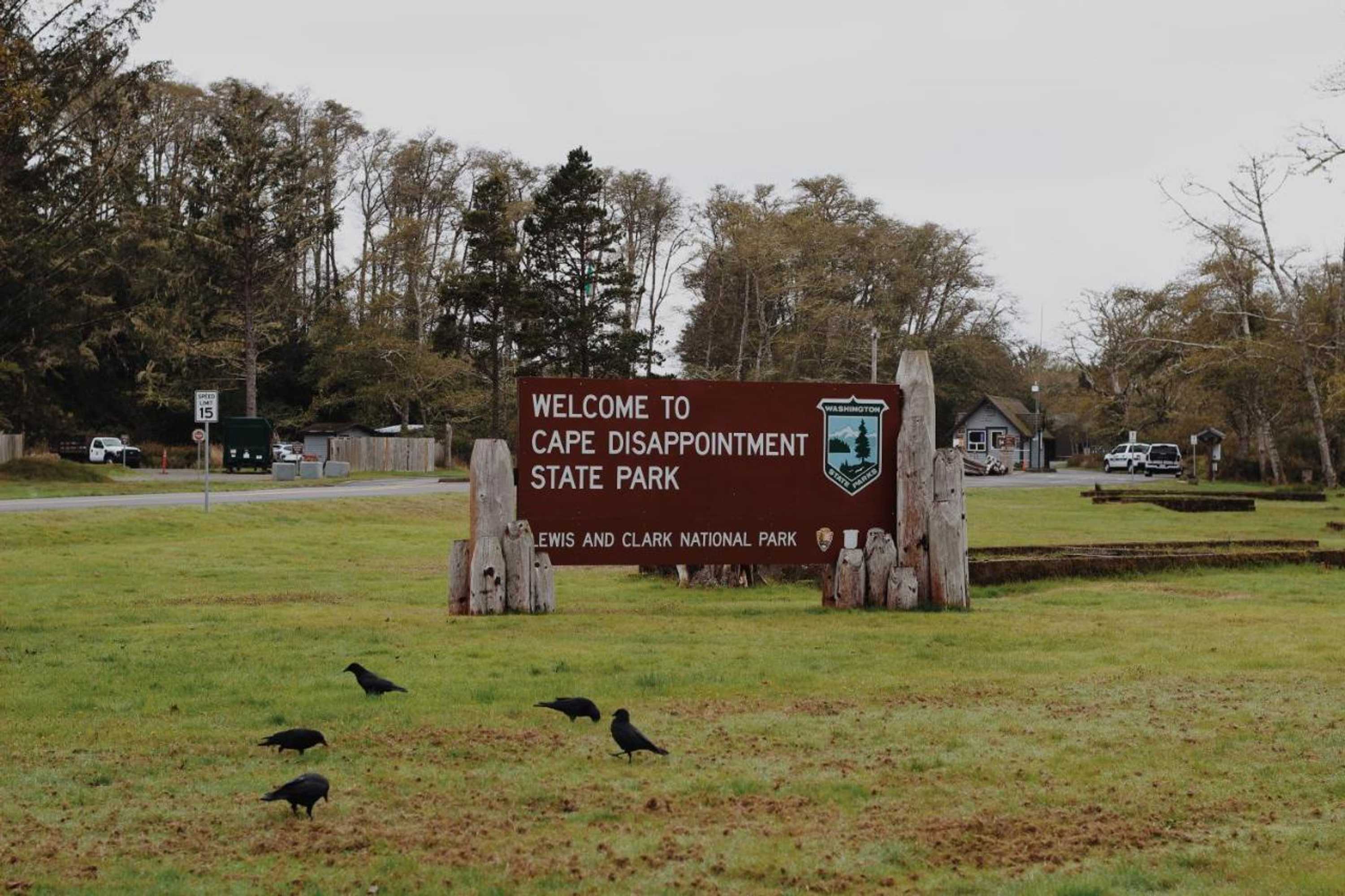 Gift card for Salt Hotel