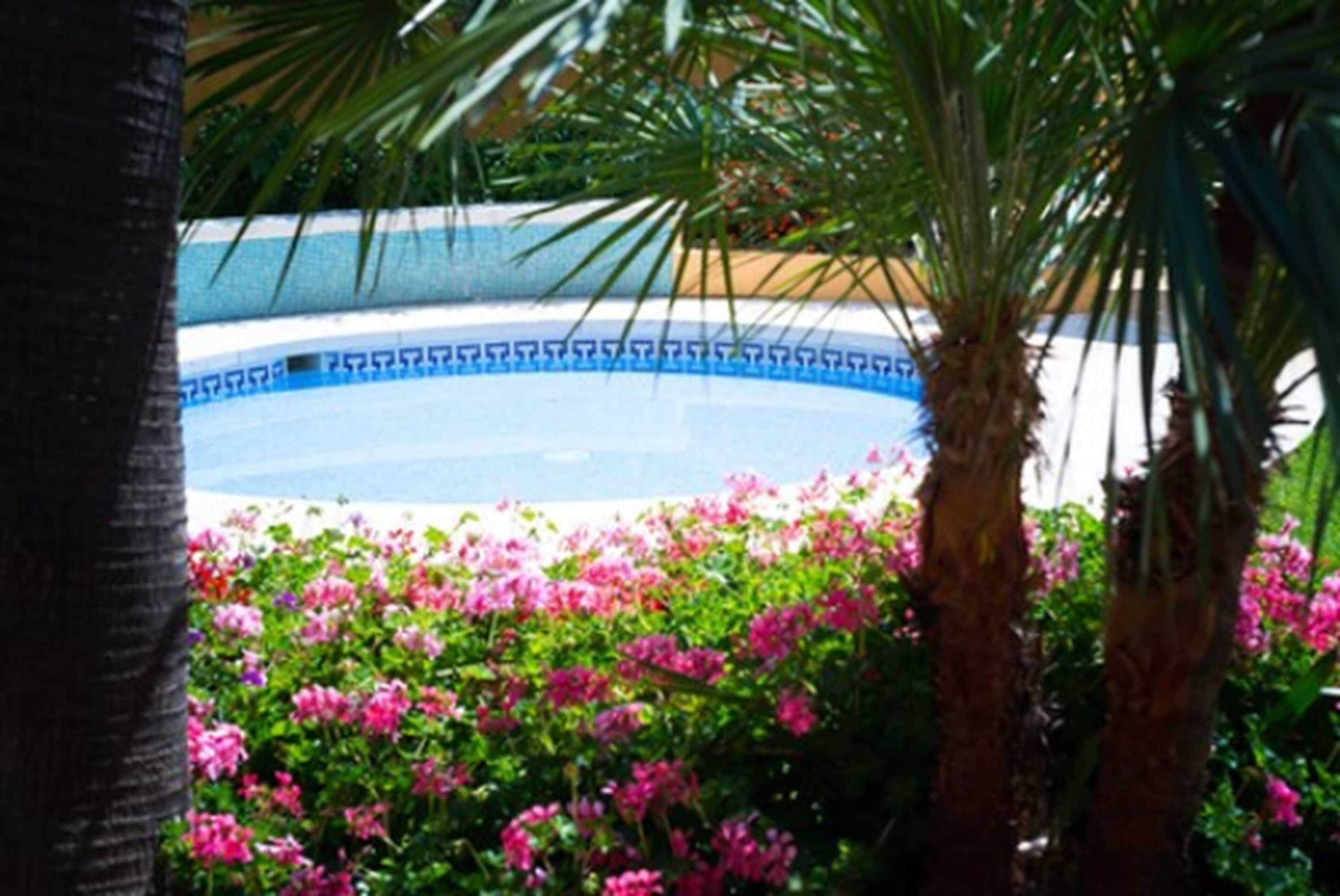Gift card for Hotel Monarque Torreblanca Gift card for Hotel Monarque Torreblanca