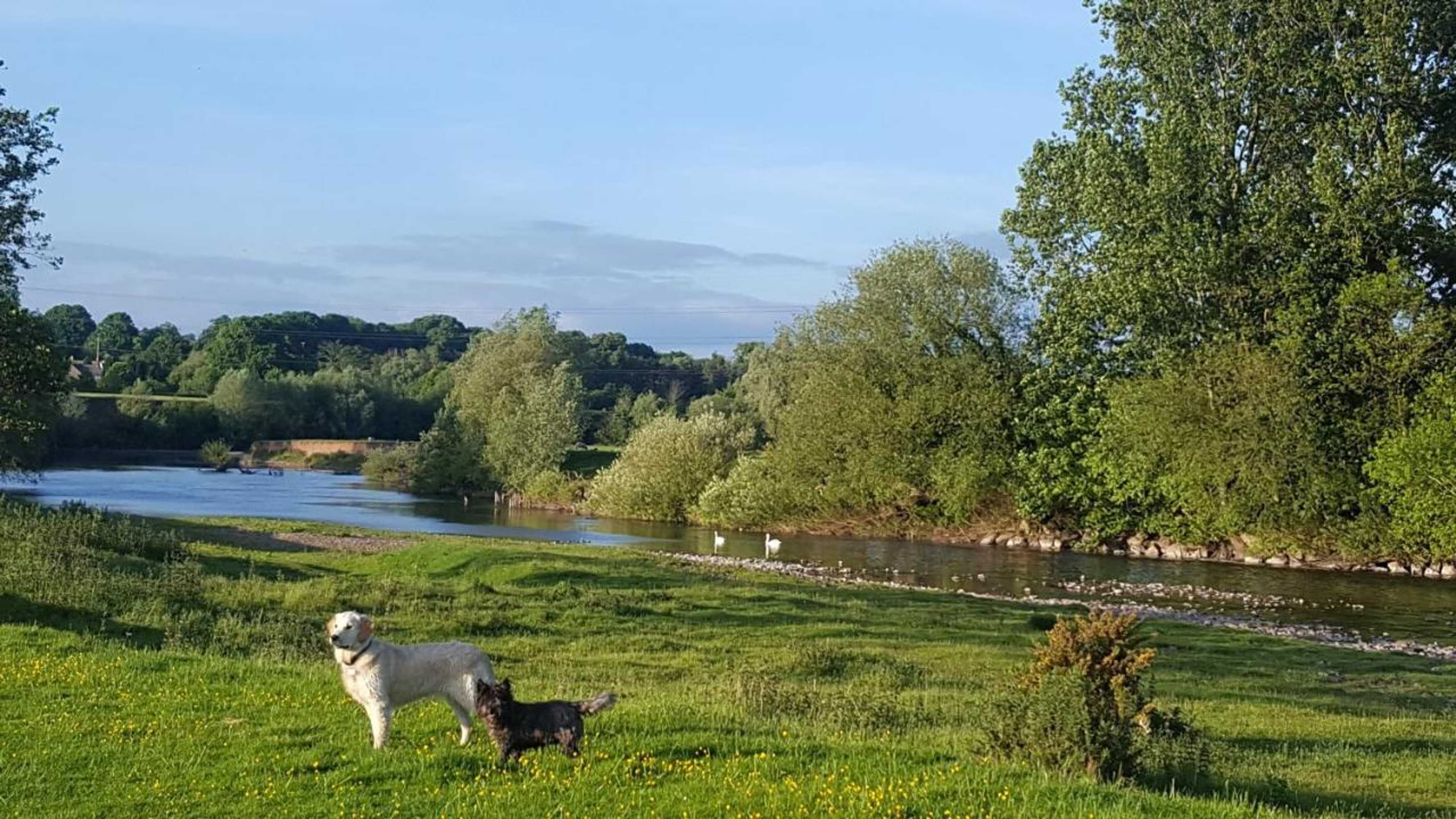 Gift card for Rectory Cottage