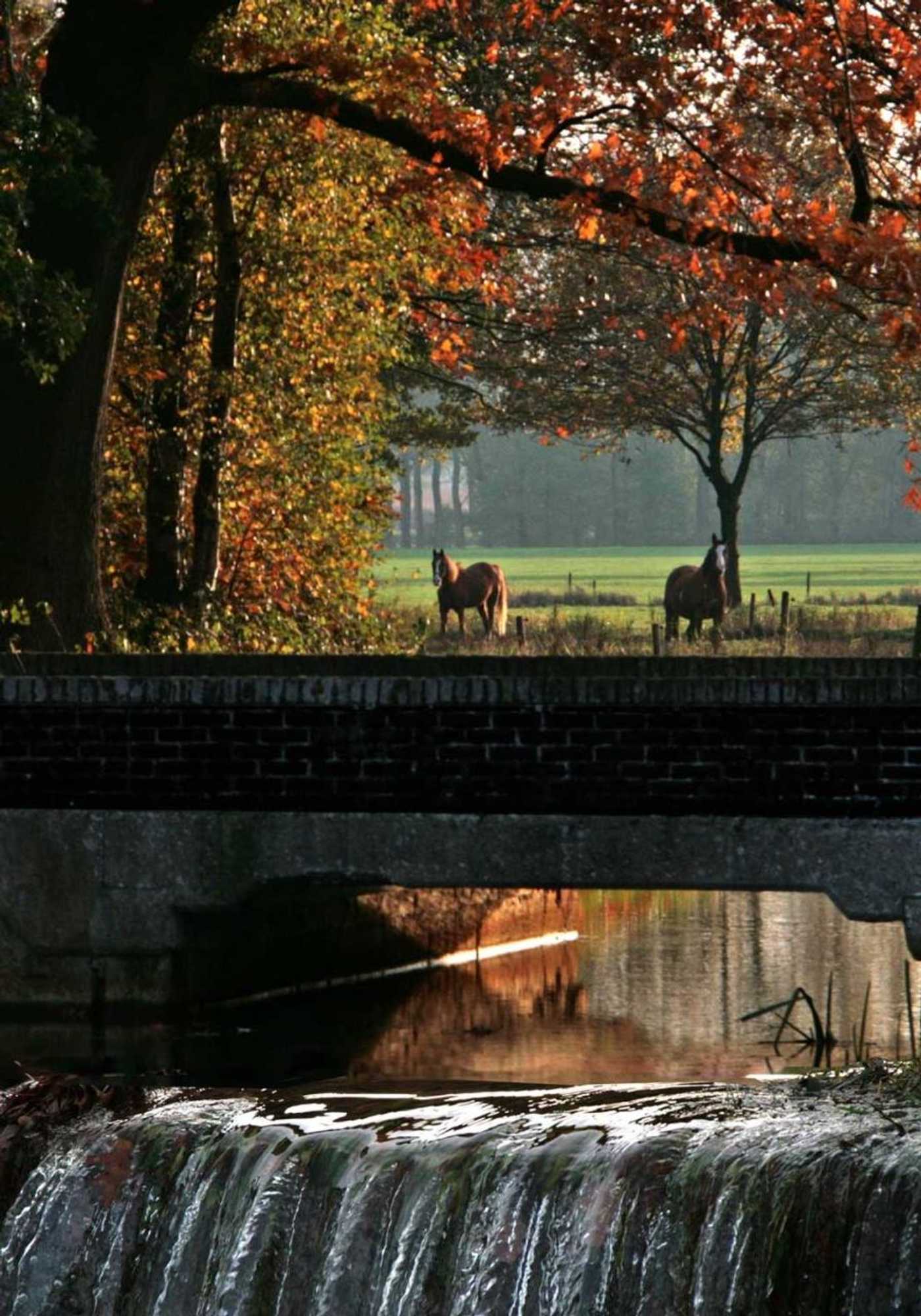 Gift card for Brouwerij Hotel De Gouden Leeuw