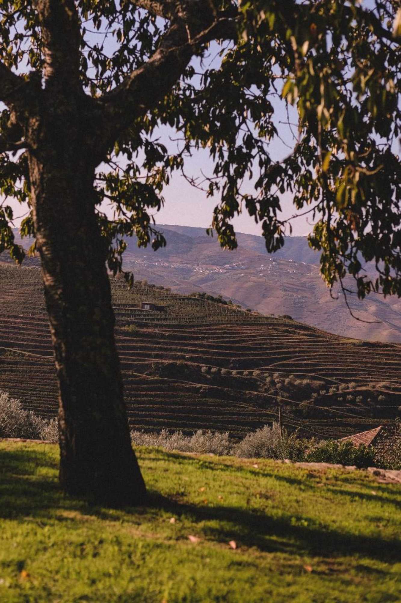 Gift card for Casal De Tralhariz Gift card for Casal De Tralhariz