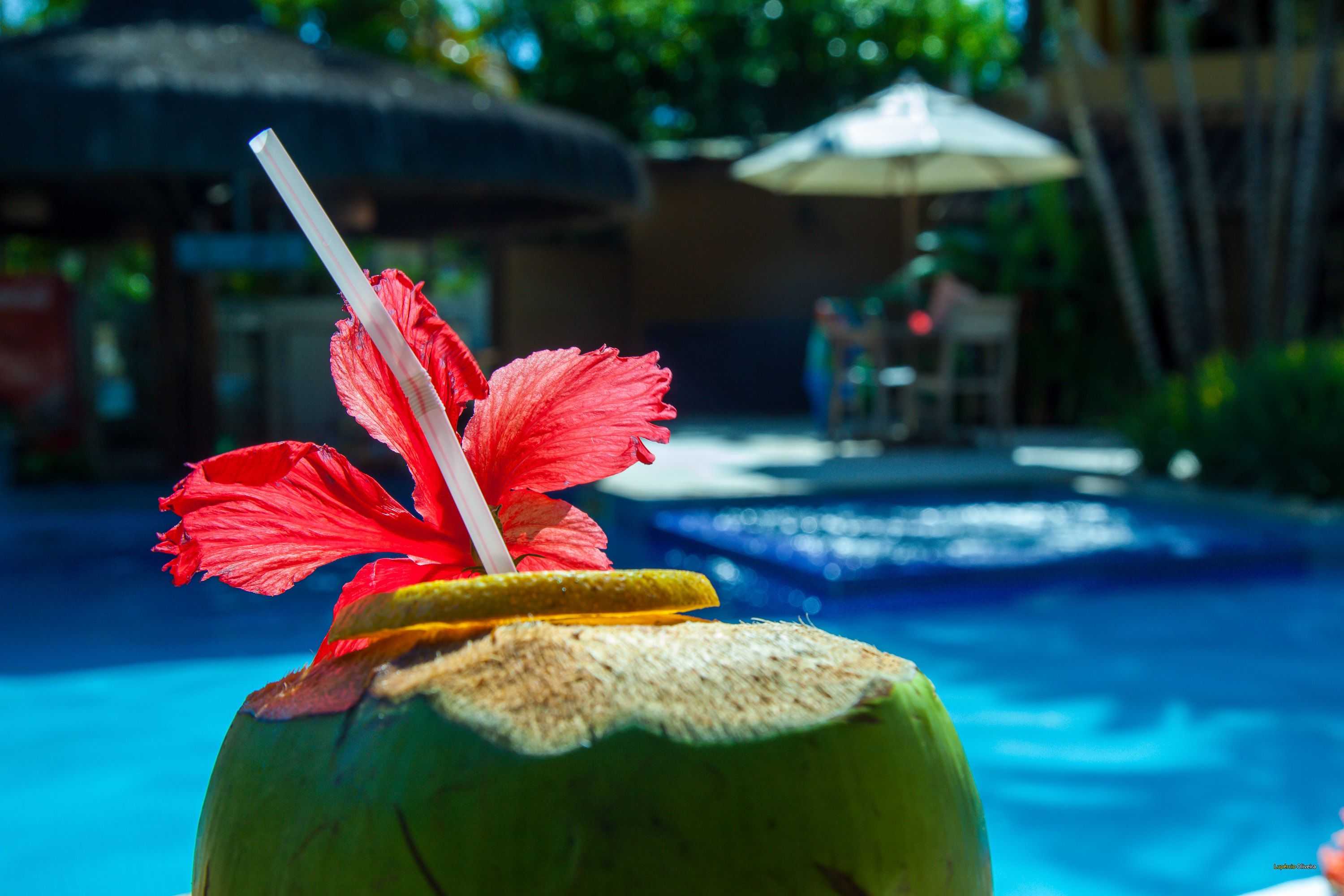 Gift card for Pousada Pedra Torta