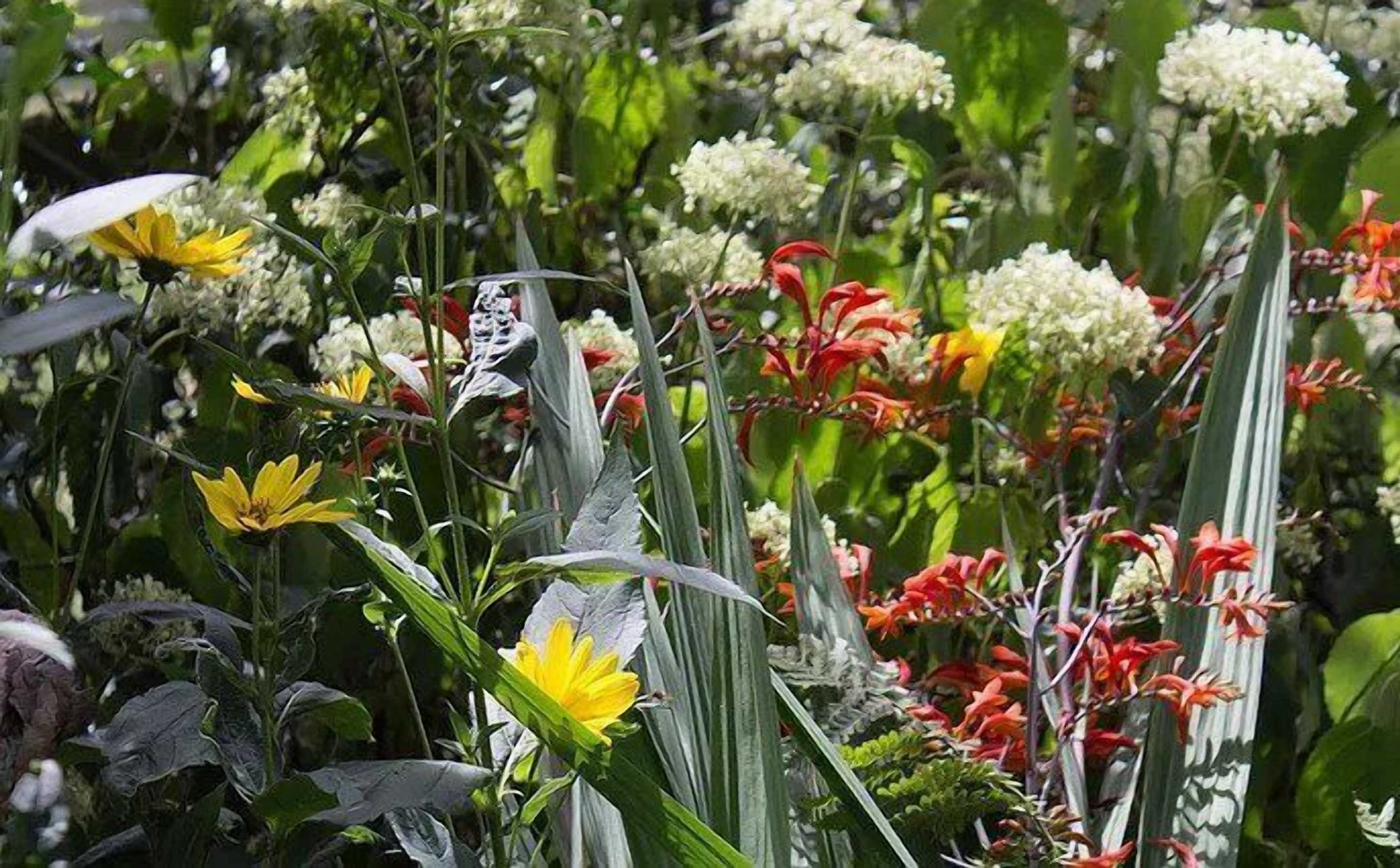 Gift card for The Old Stables