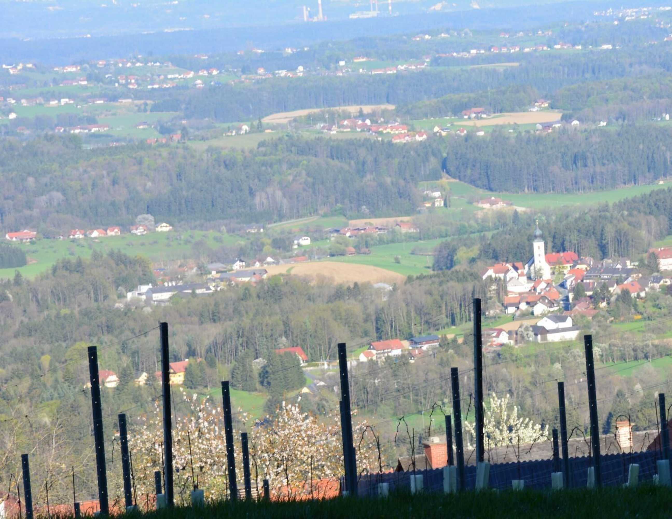 Gift card for Weingut Seiner Vlg. Kraxner Gift card for Weingut Seiner Vlg. Kraxner