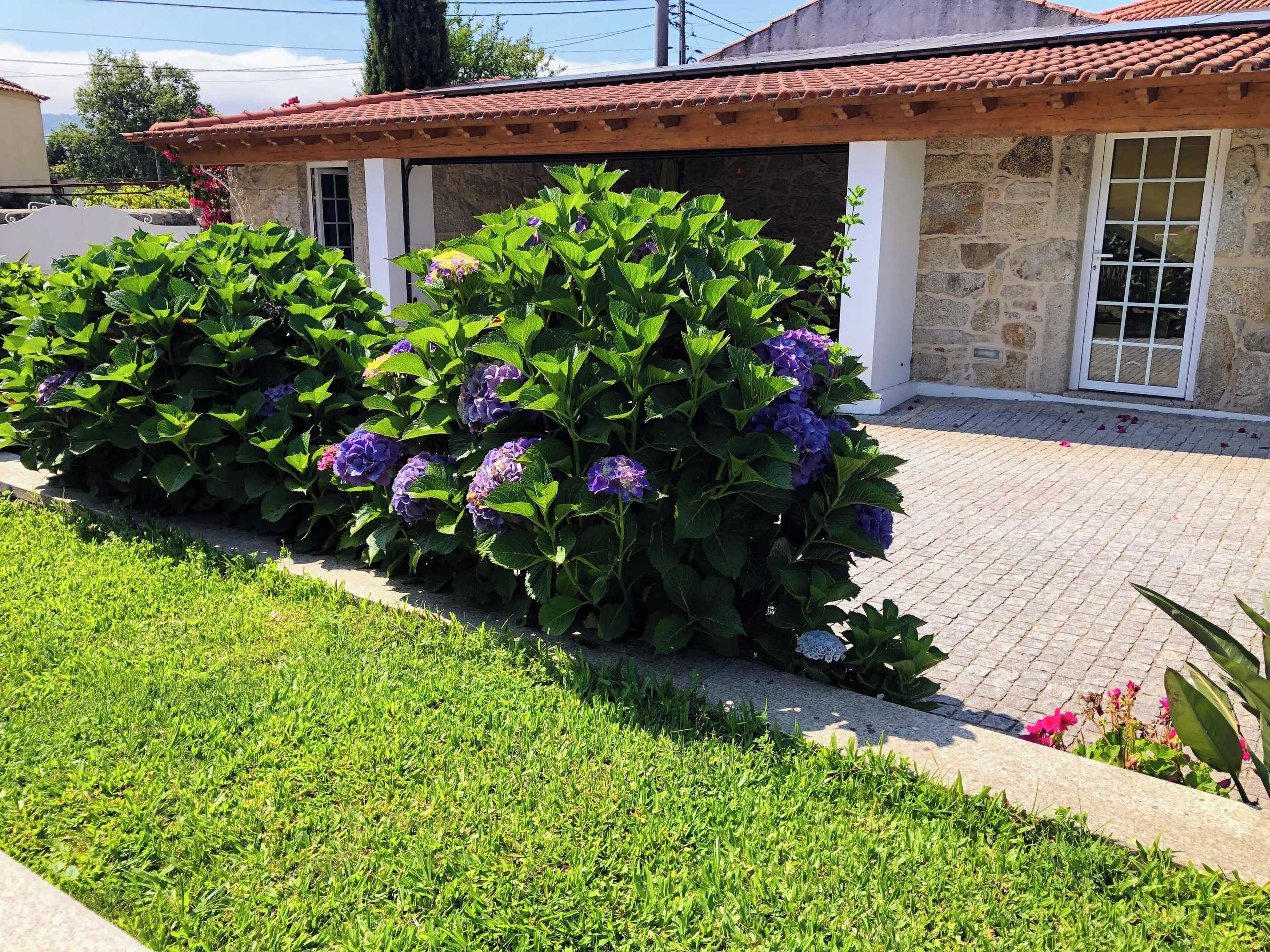 Gift card for Casa Pedro e Ines