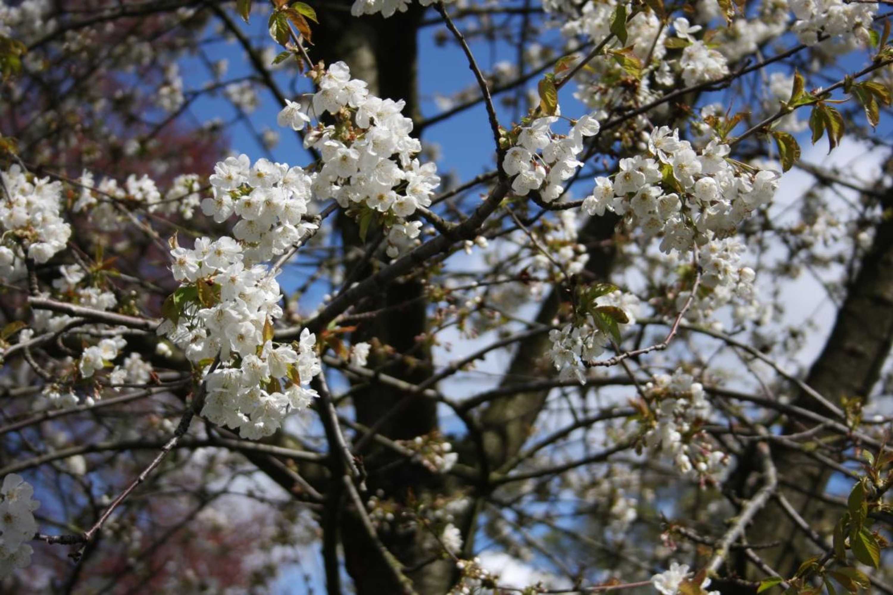 Gift card for Atelier La Luna