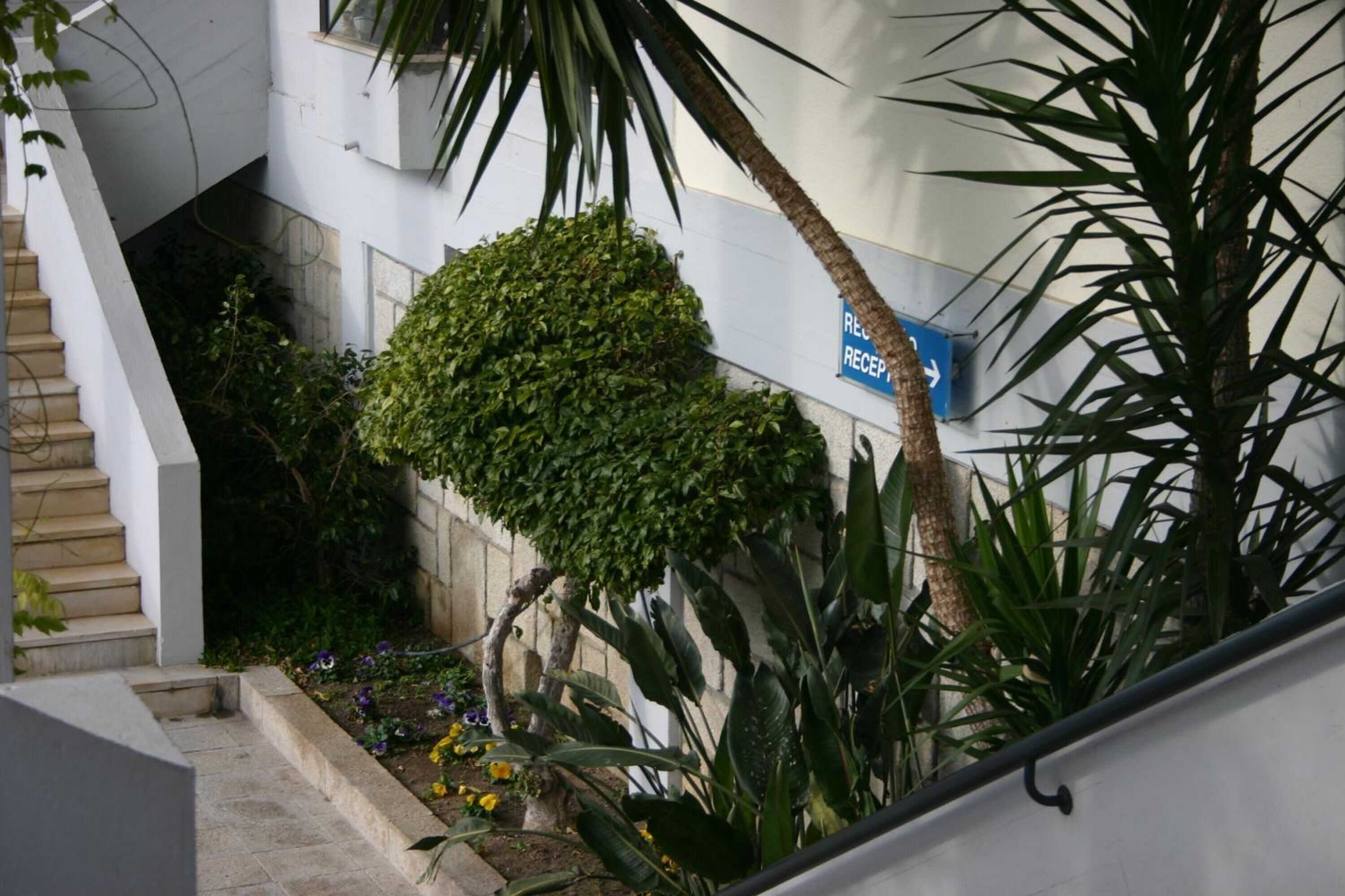 Gift card for Hotel Senhora do Castelo