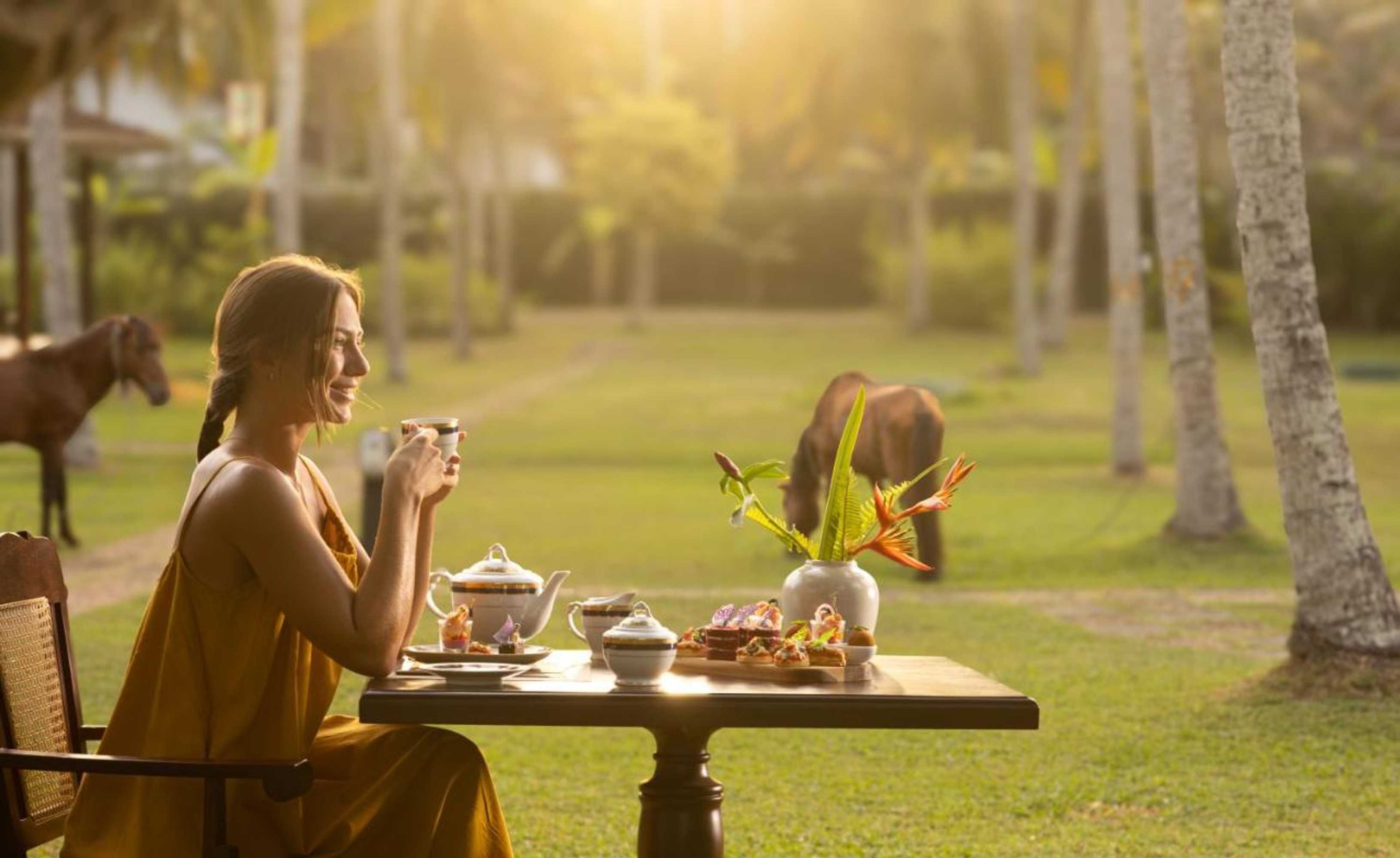 Gift card for Tamarind Tree Garden Resort - Katunayake