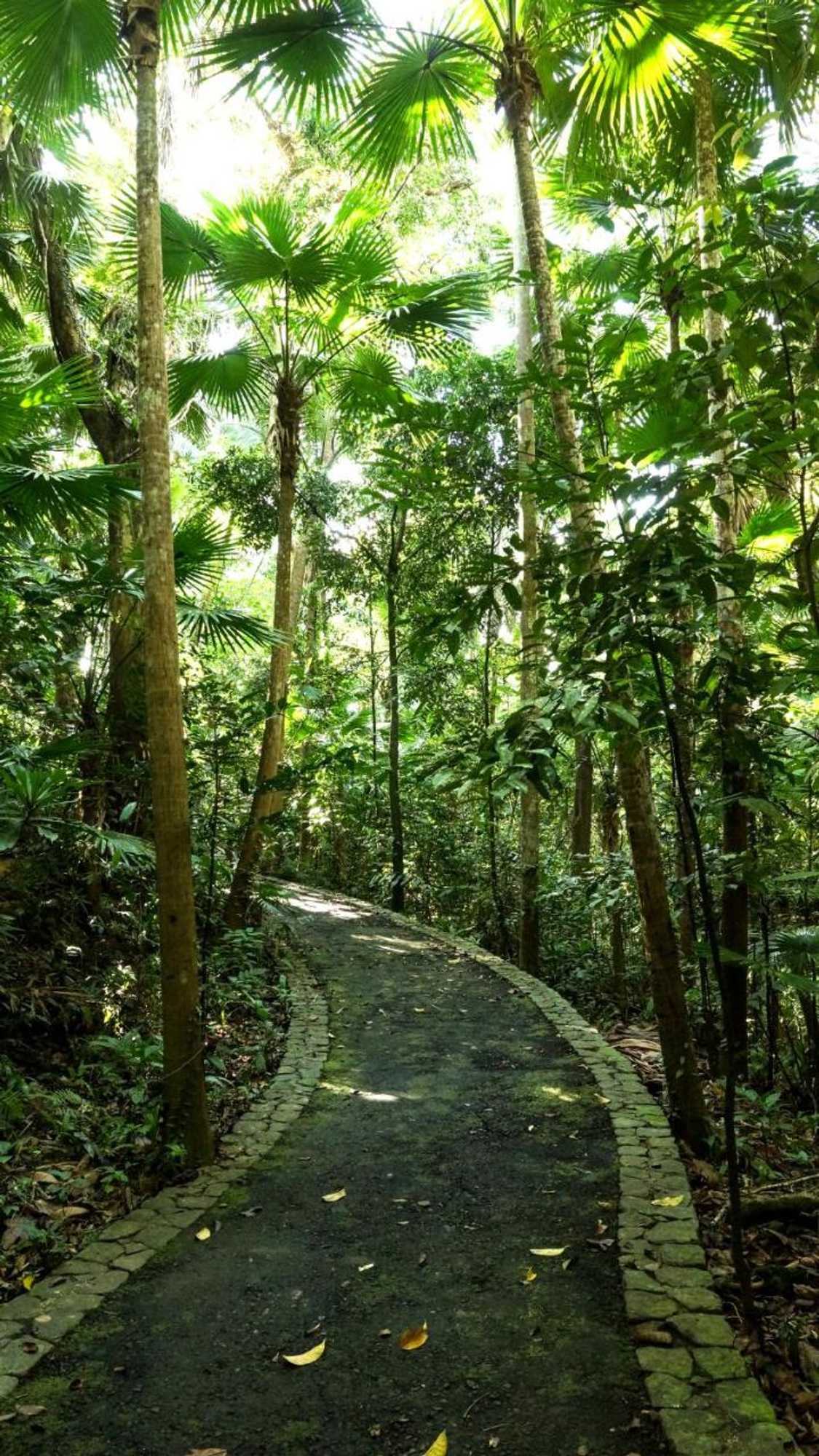 Gift card for Mirisbiris Garden And Nature Center