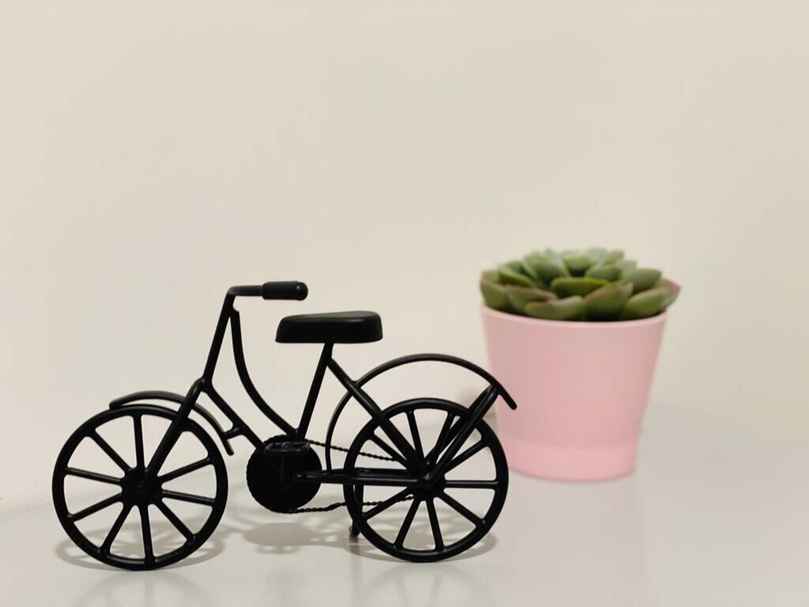 Gift card for Family Hostel Costa Nova