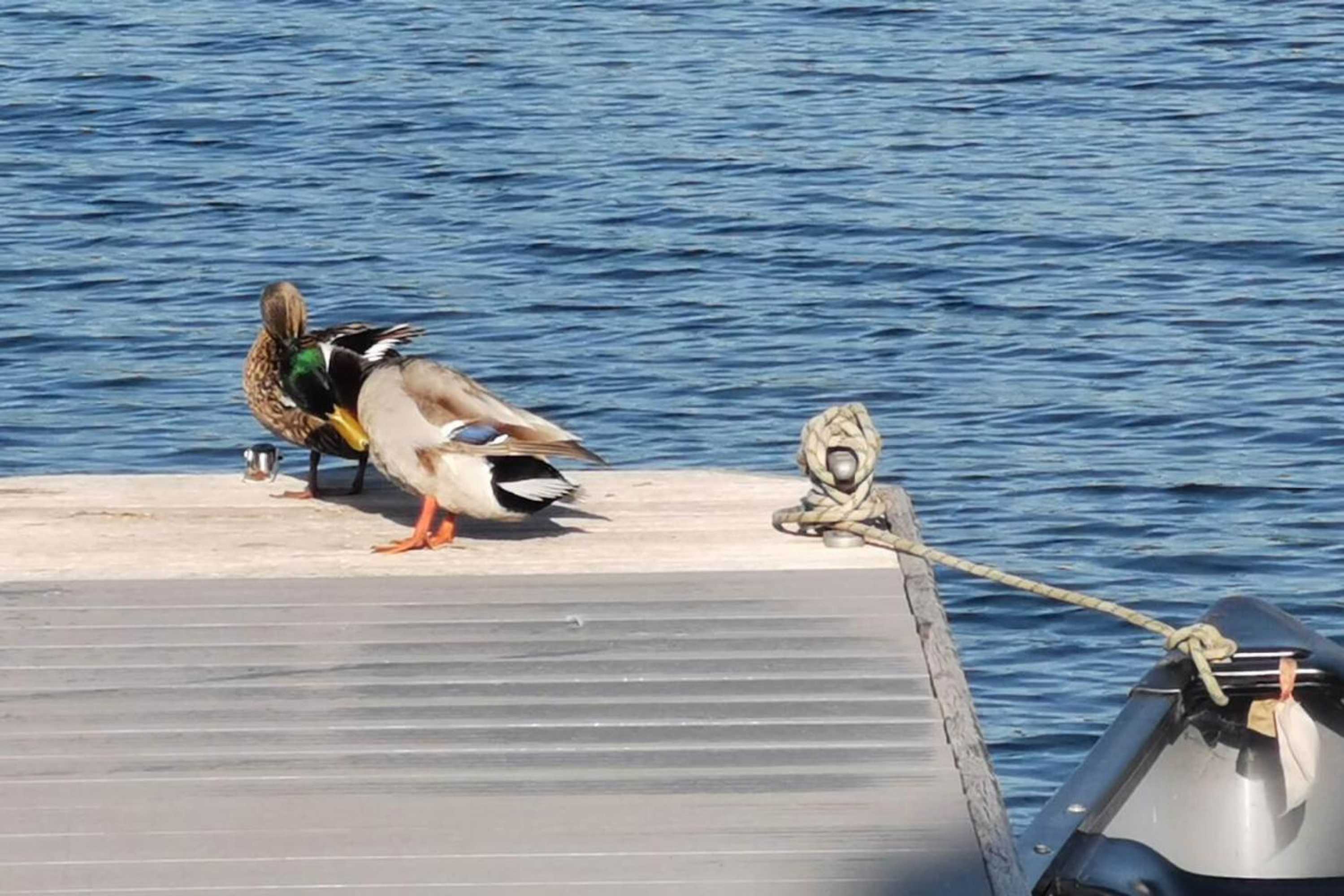 Gift card for The Moorings