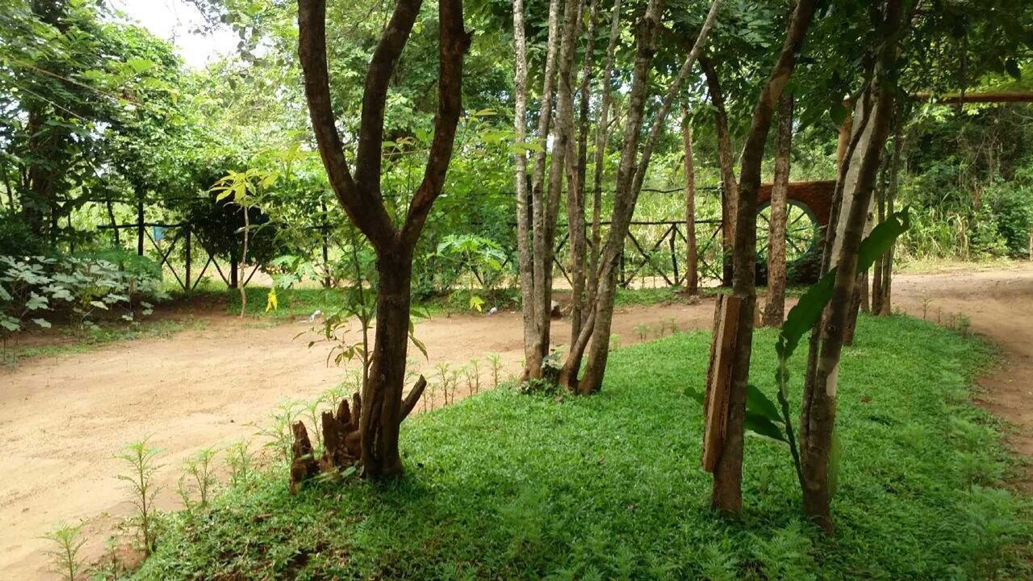 Gift card for Sigiri Wilderness Resort Gift card for Sigiri Wilderness Resort