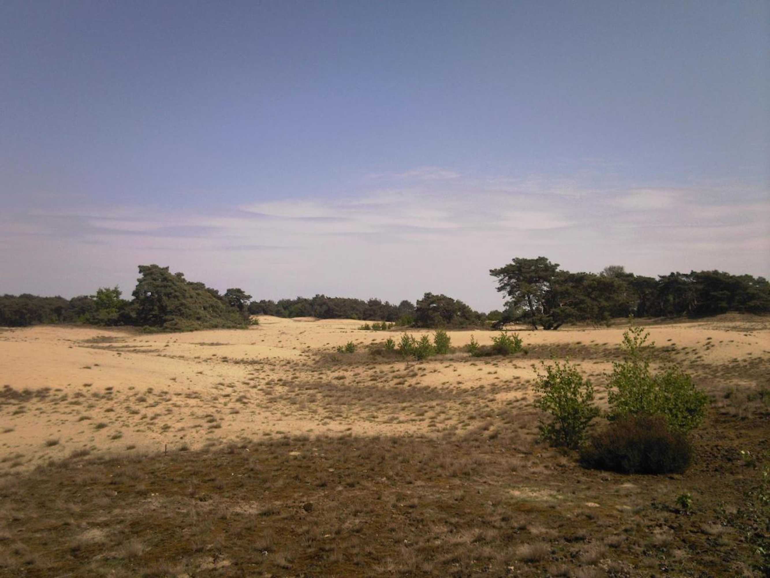 Gift card for Logies Angelbeeck