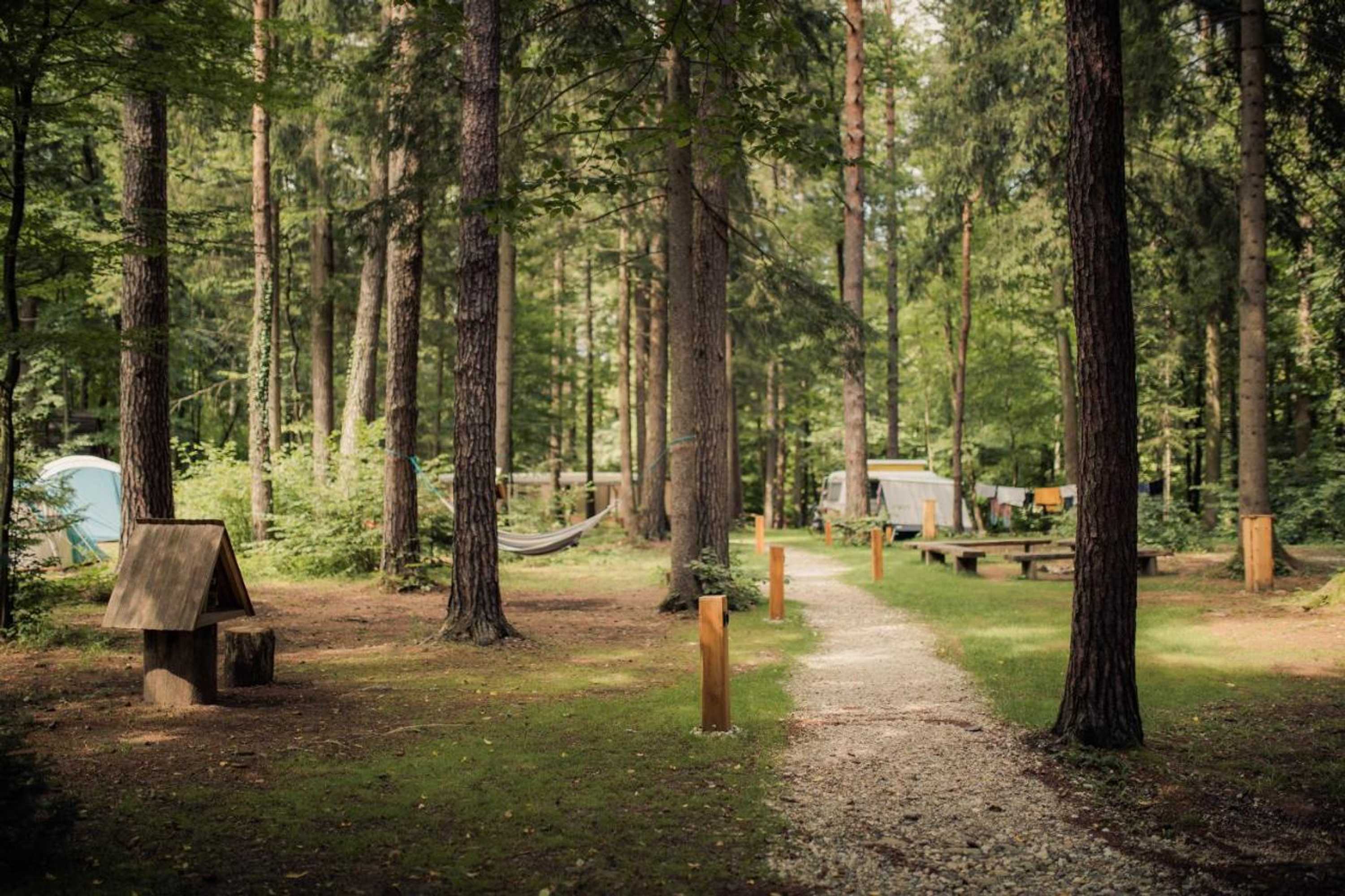 Gift card for Forest Camping Mozirje