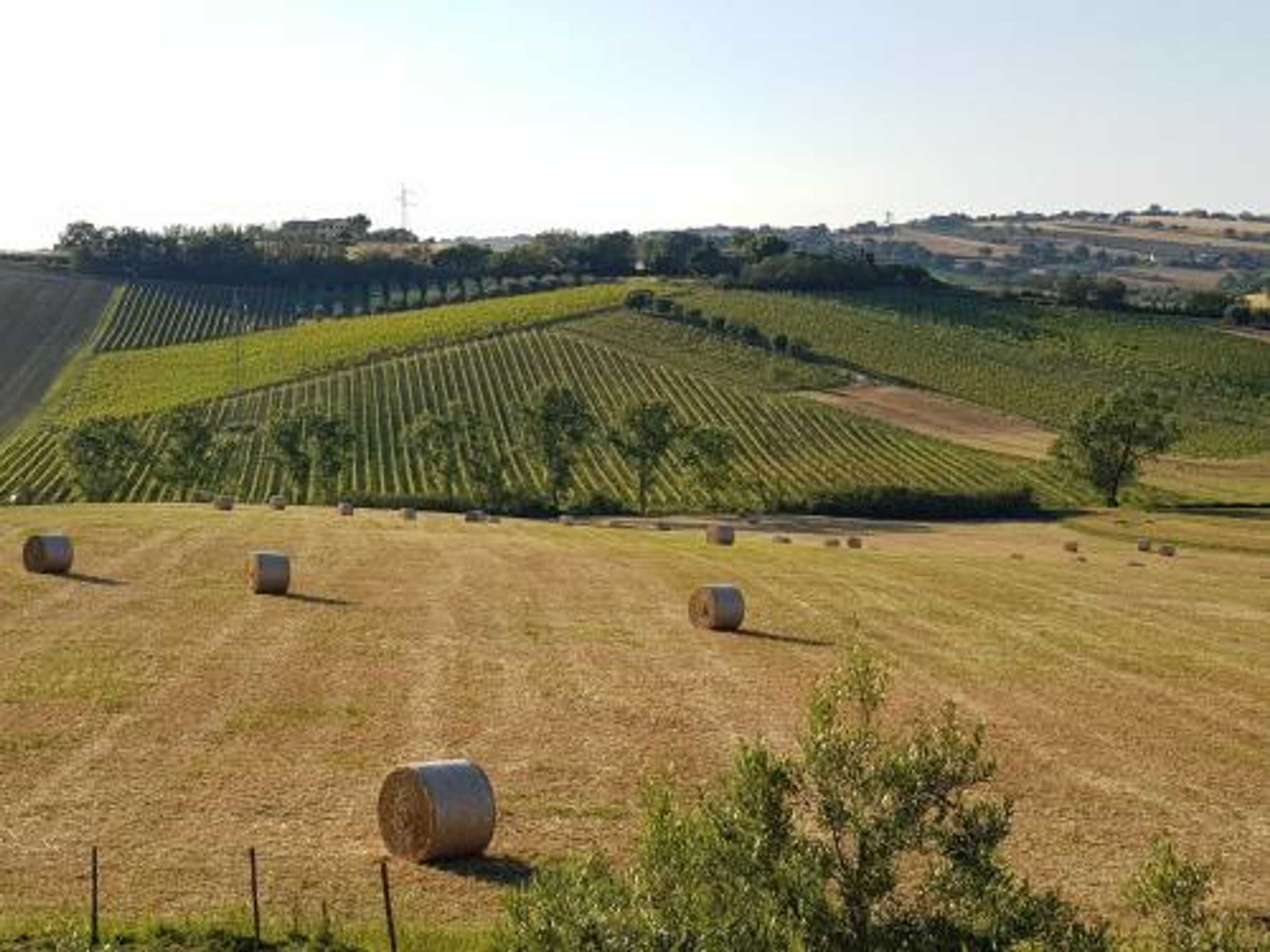 Gift card for Agriturismo Bio Verde Armonia Gift card for Agriturismo Bio Verde Armonia