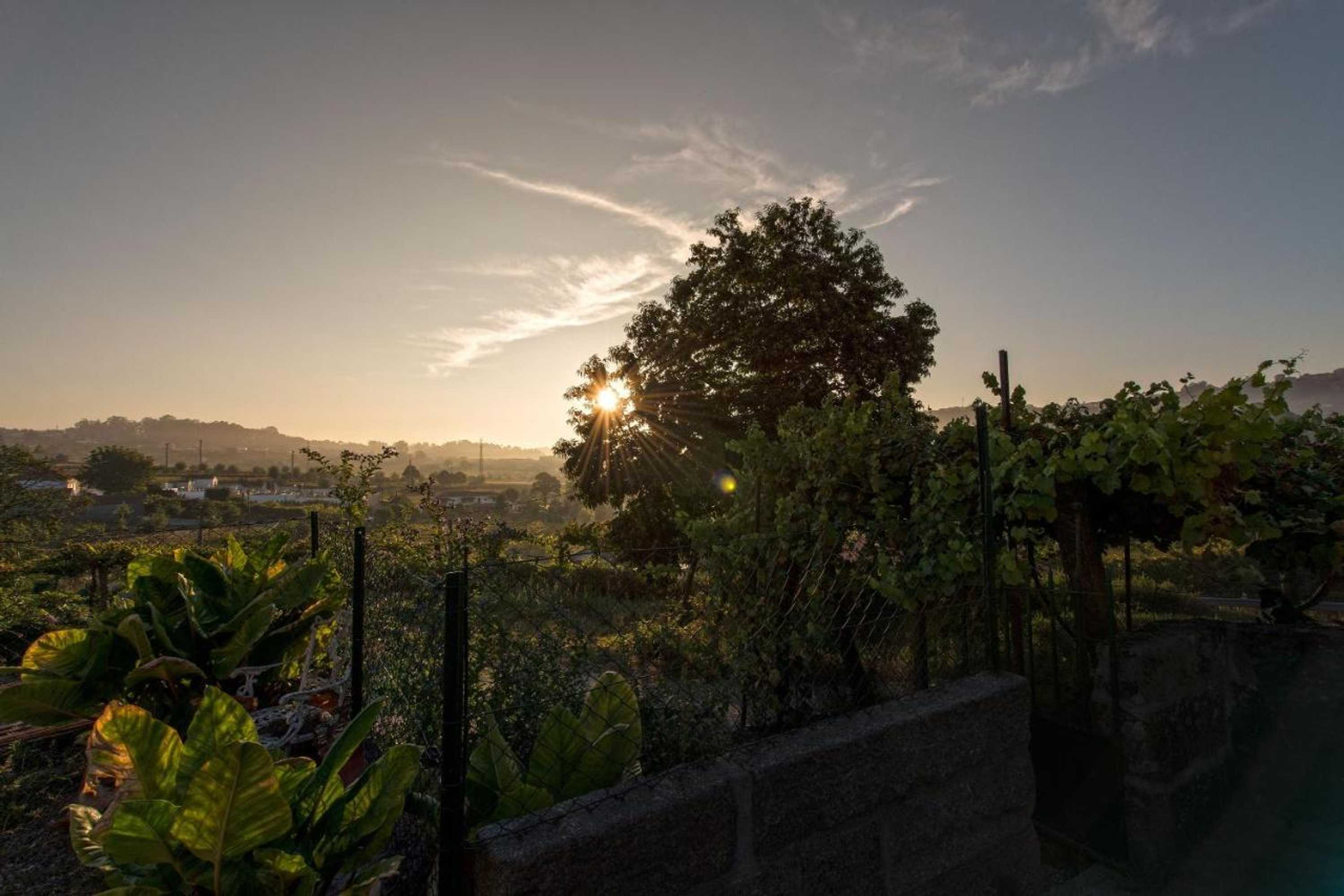 Gift card for Stone Farm Hostel Gift card for Stone Farm Hostel