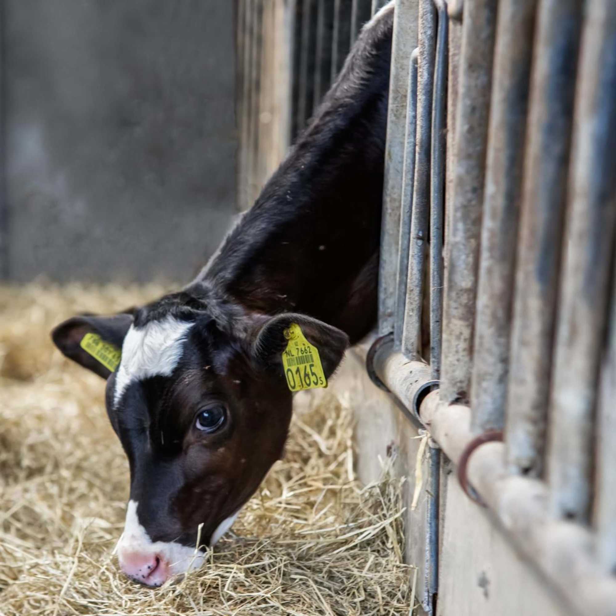 Gift card for Boerderij Zonneveld