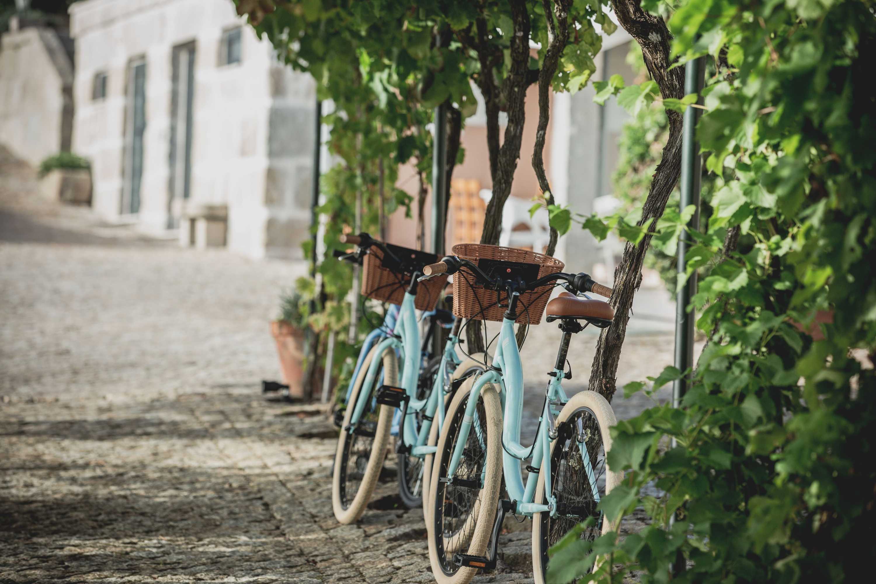 Gift card for Casa Nova Agroturismo Gift card for Casa Nova Agroturismo