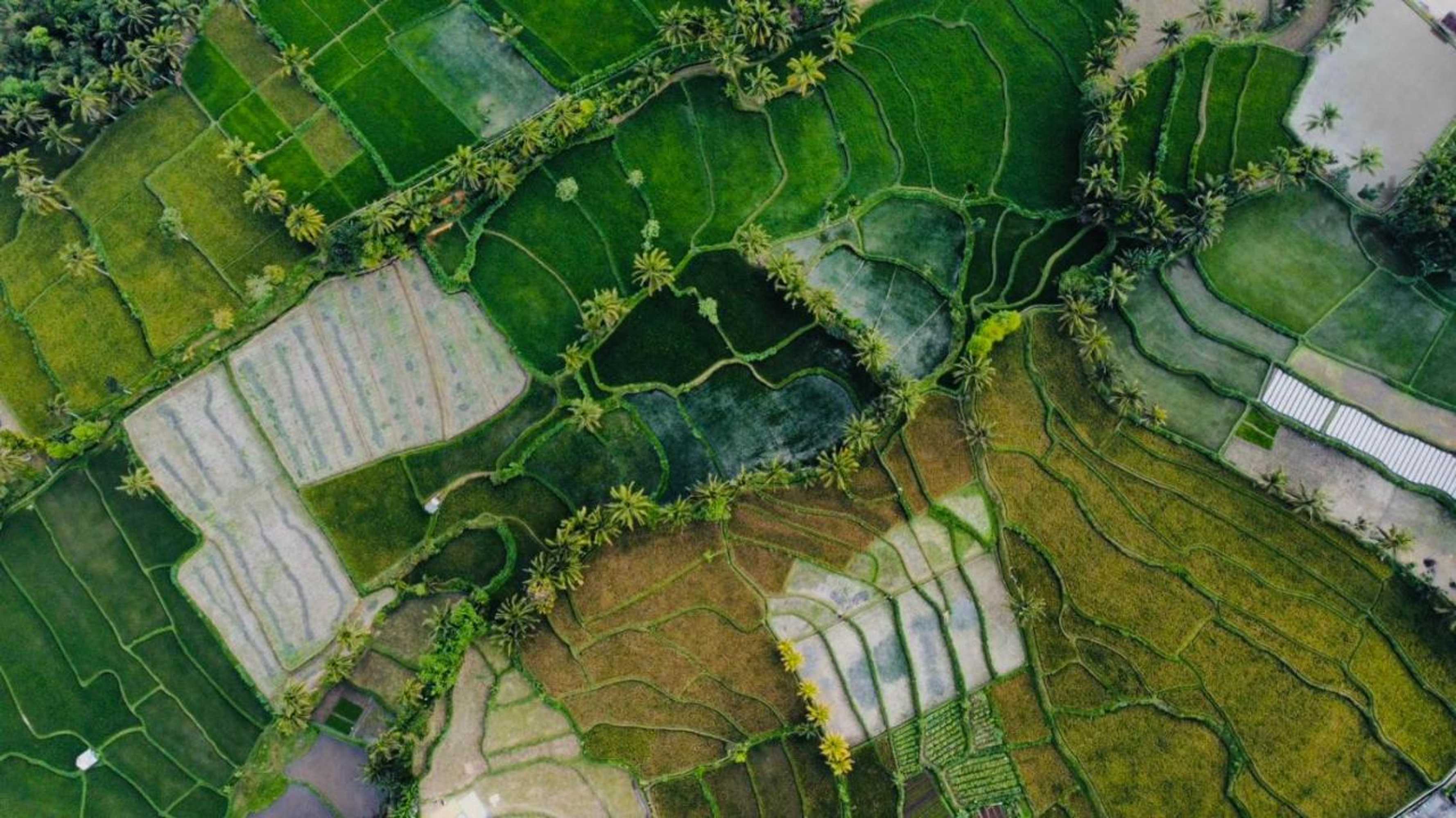 Gift card for Farmer Homestay